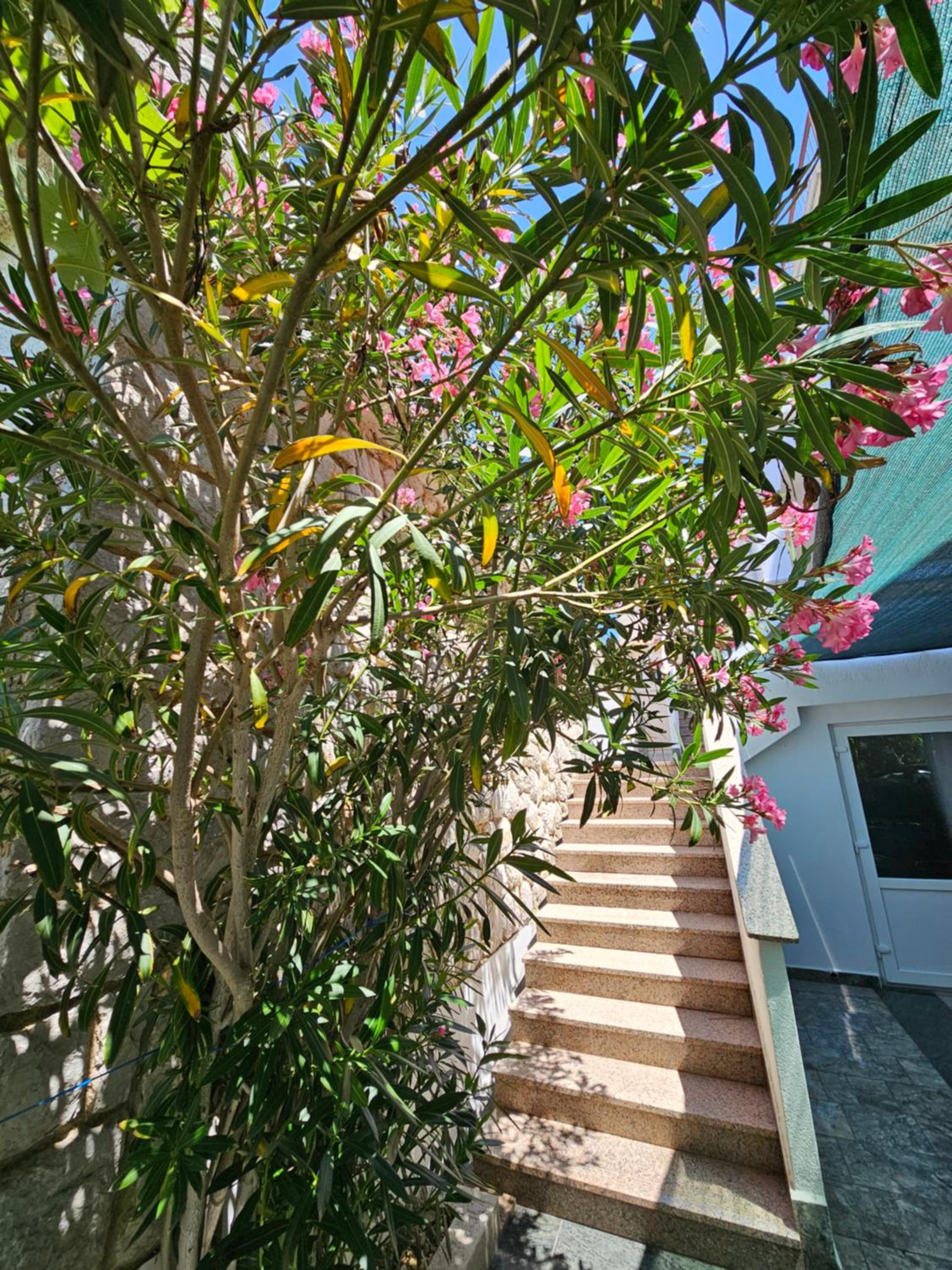 Apartments Bahar Krk