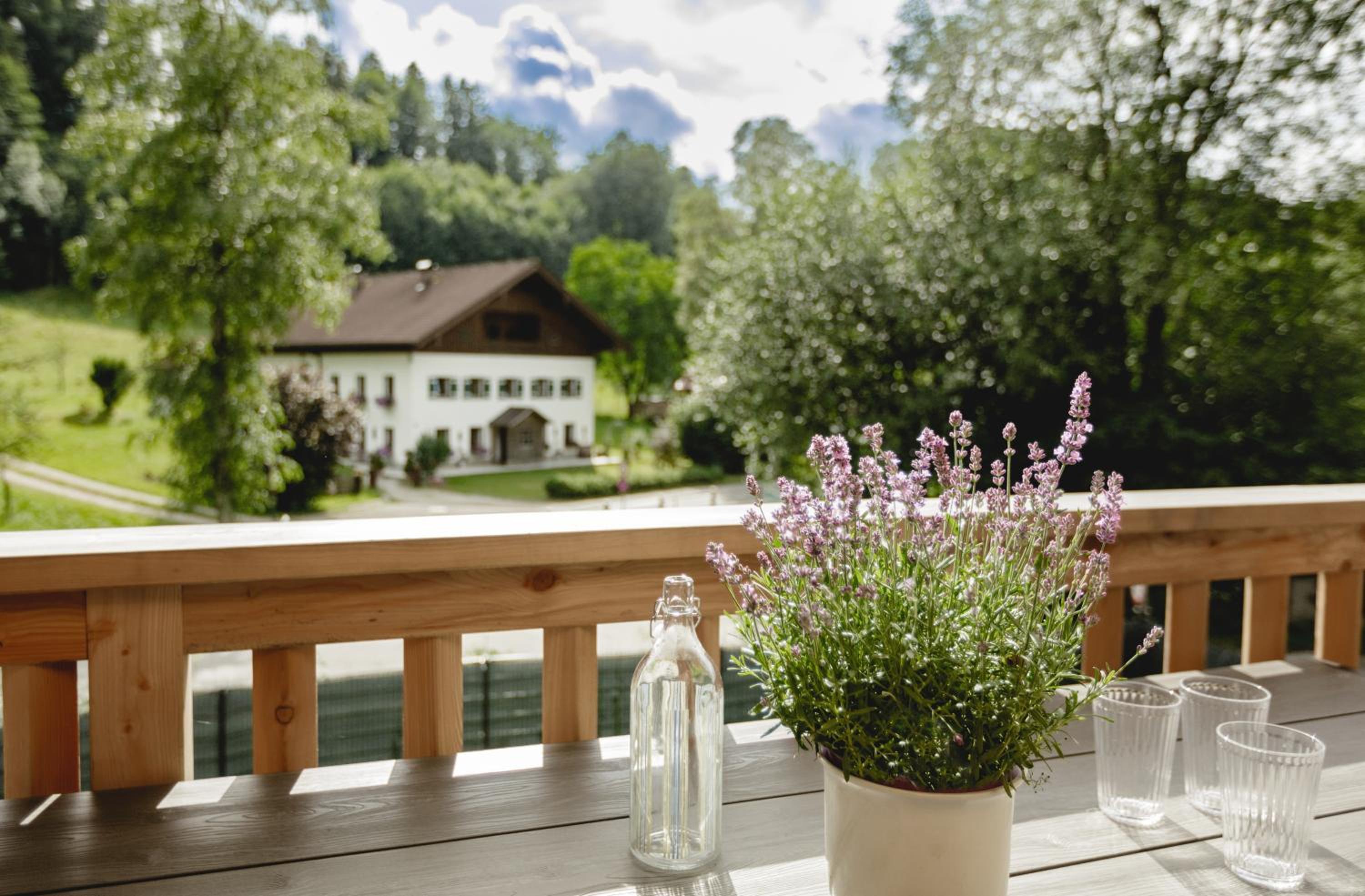 Chalet 49 Nesselgraben - Ferienwohnungen aus Holz