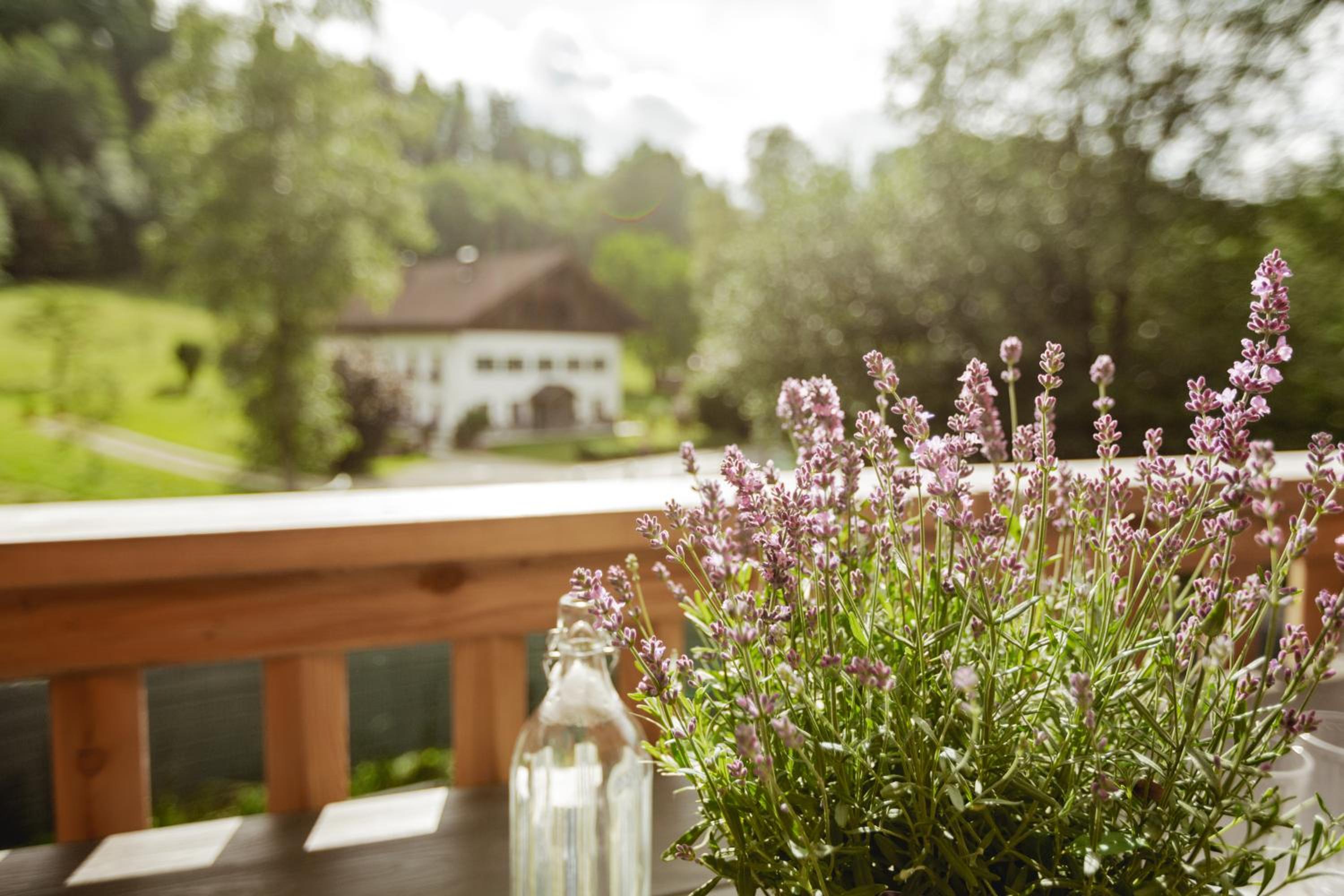 Chalet 49 Nesselgraben - Ferienwohnungen aus Holz