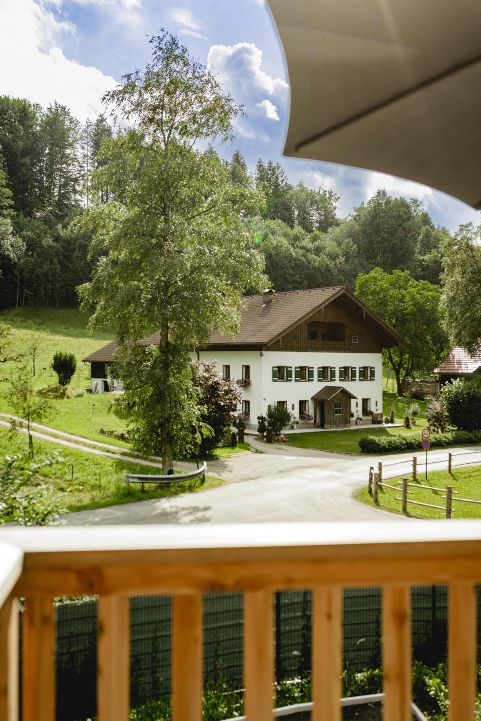 Chalet 49 Nesselgraben - Ferienwohnungen aus Holz