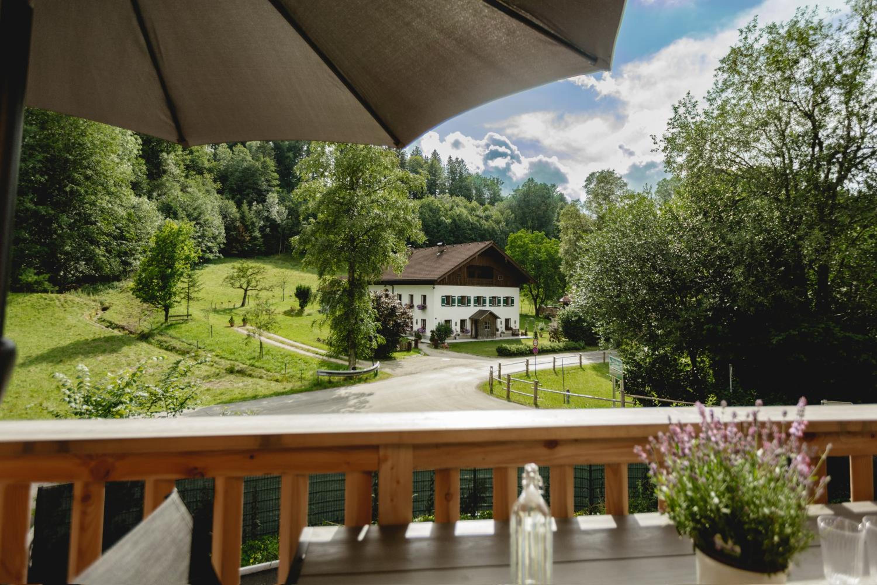 Chalet 49 Nesselgraben - Ferienwohnungen aus Holz