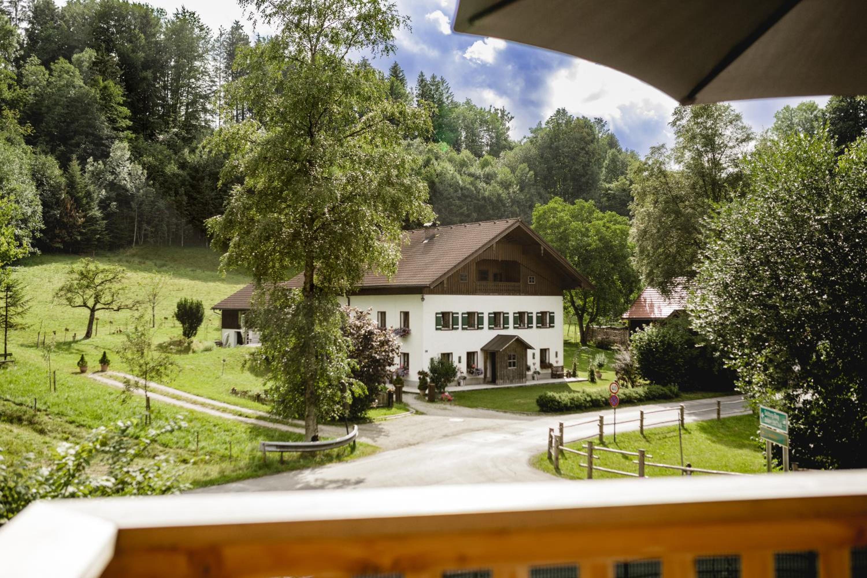 Chalet 49 Nesselgraben - Ferienwohnungen aus Holz