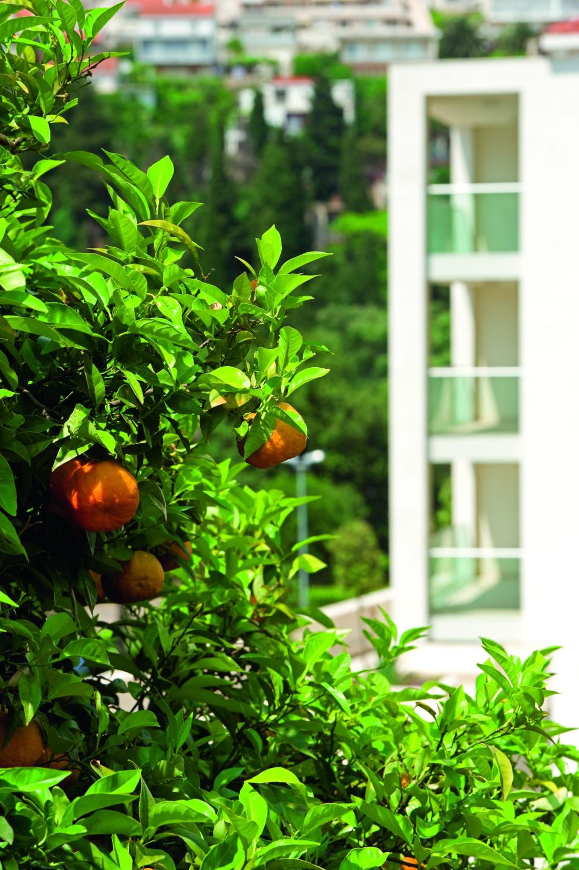 Dubrovnik Luxury Residence – L’Orangerie