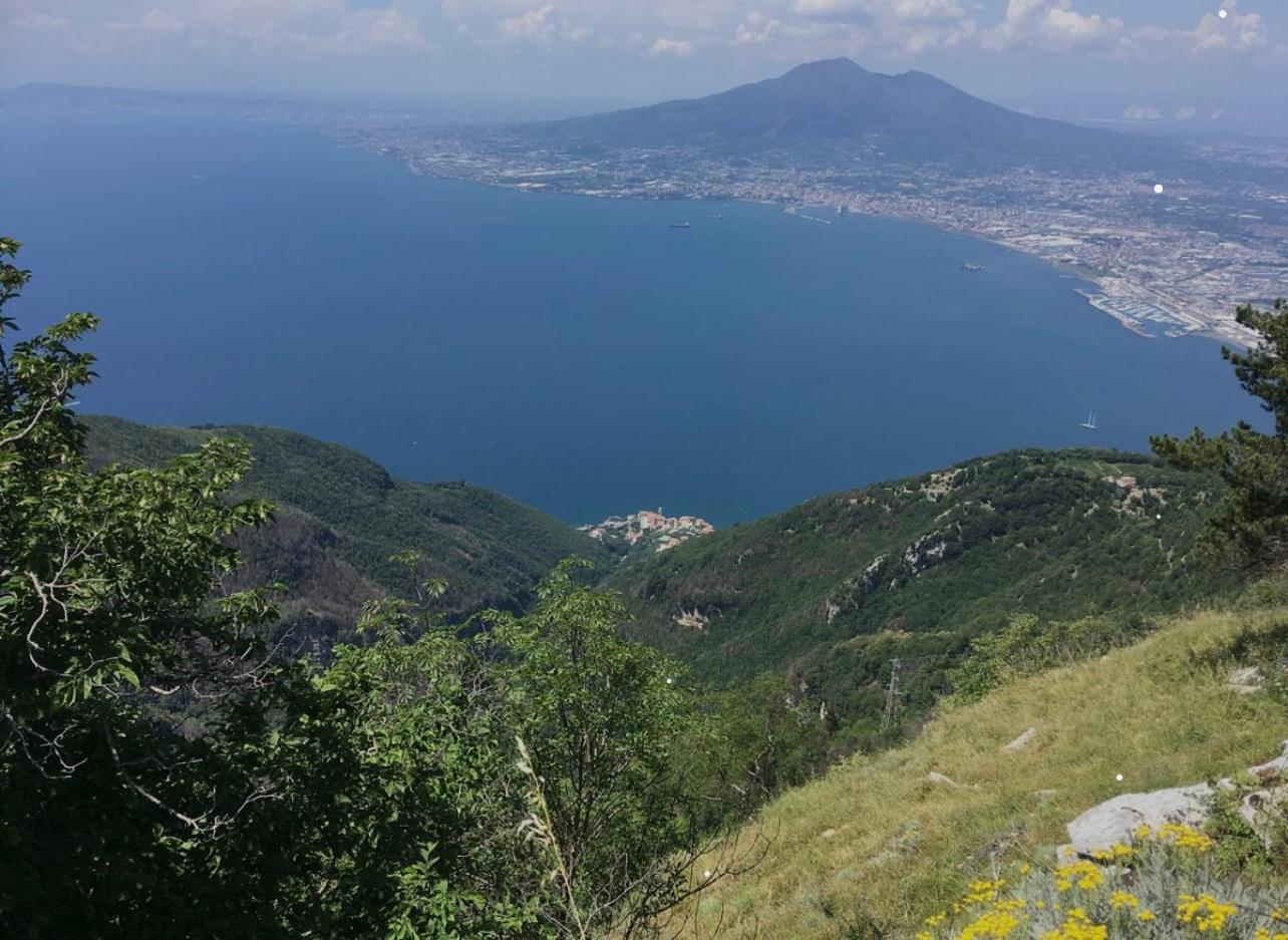 il tempio degli Dei