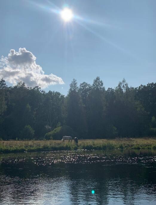 Photo 35