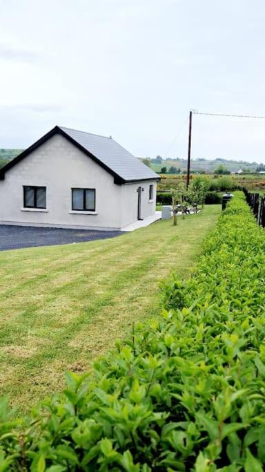 Bluebelle Lodge