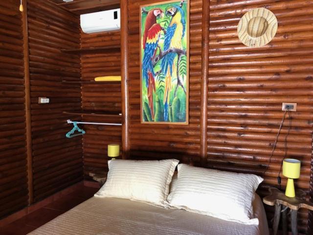 Casa Toucan mit privat Pool near NP Ballena