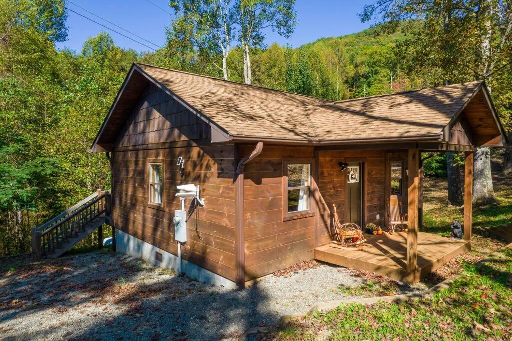 *New Owner Special* Cozy Cabin with mountain views