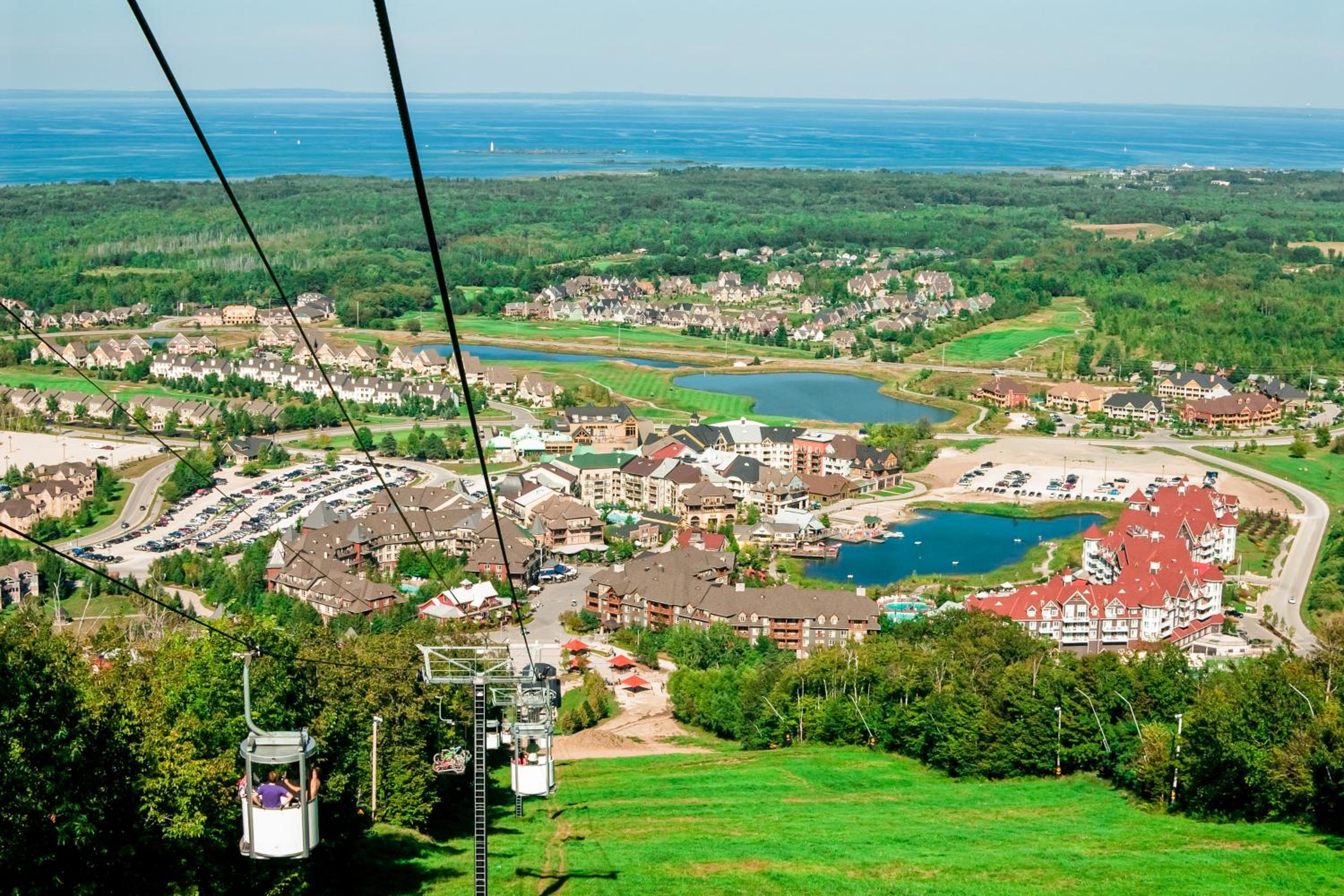 Wintergreen 125