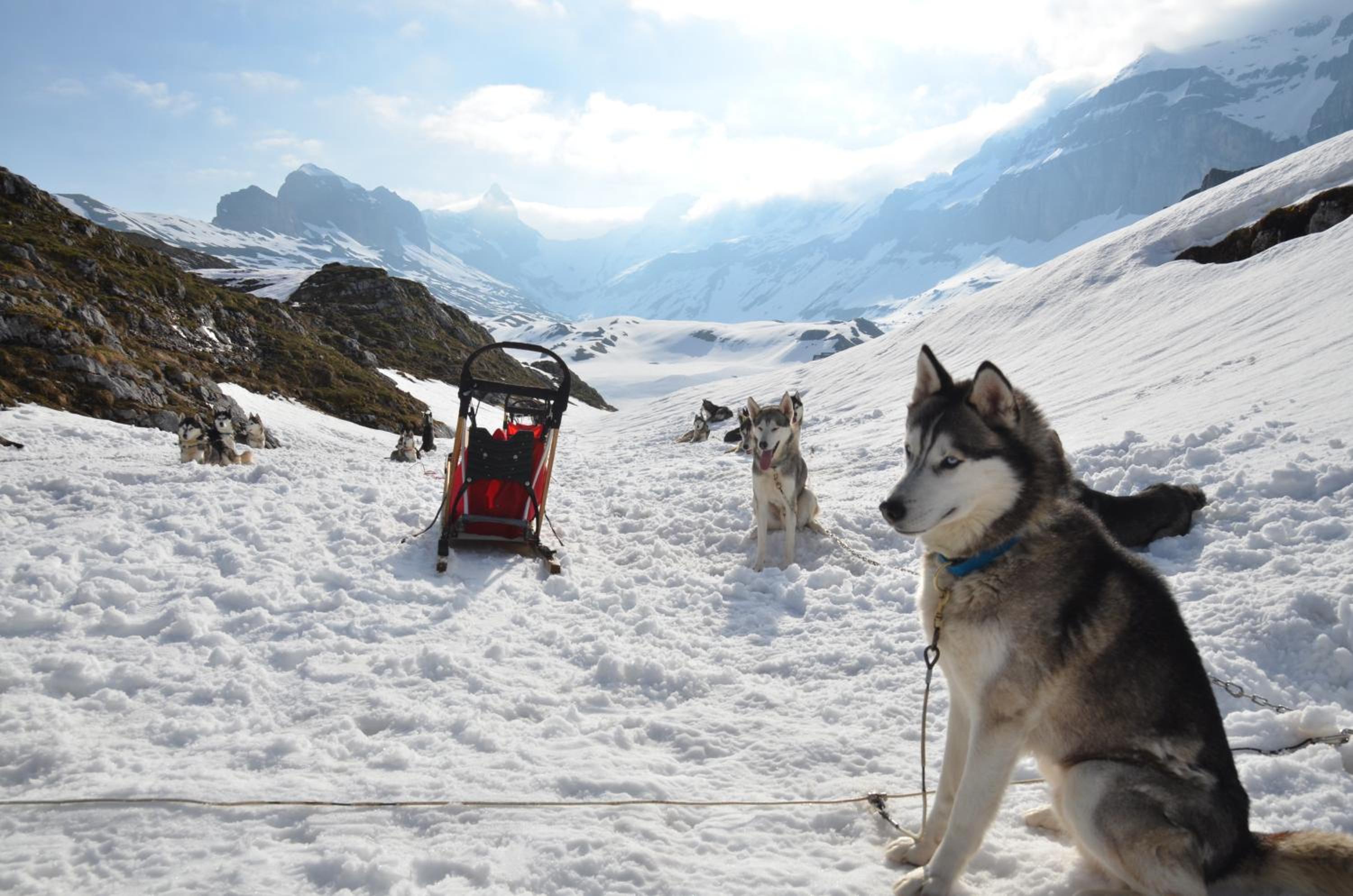 Hüttenhotel Husky Lodge