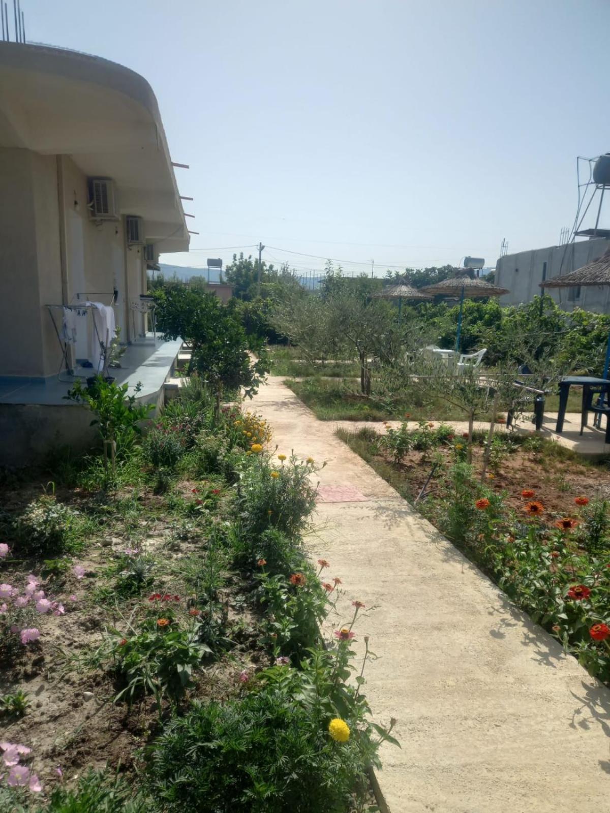 Rey Garden 2