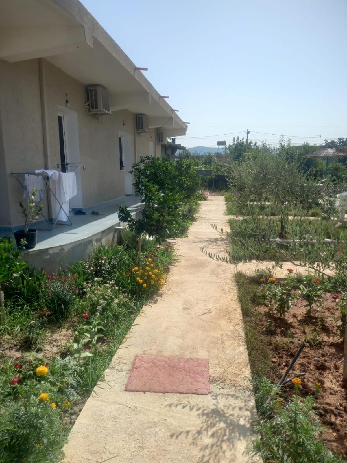Rey Garden 2