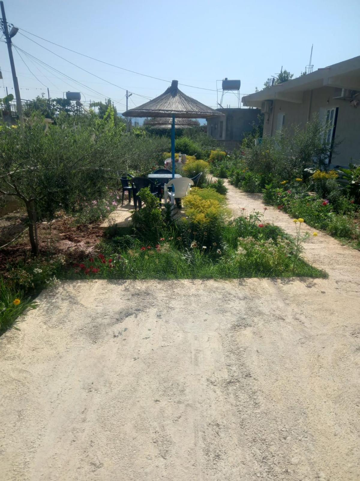 Rey Garden 2
