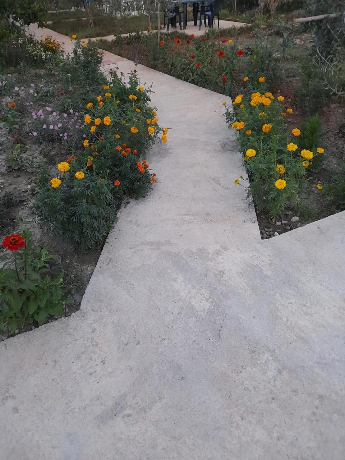 Rey Garden 2