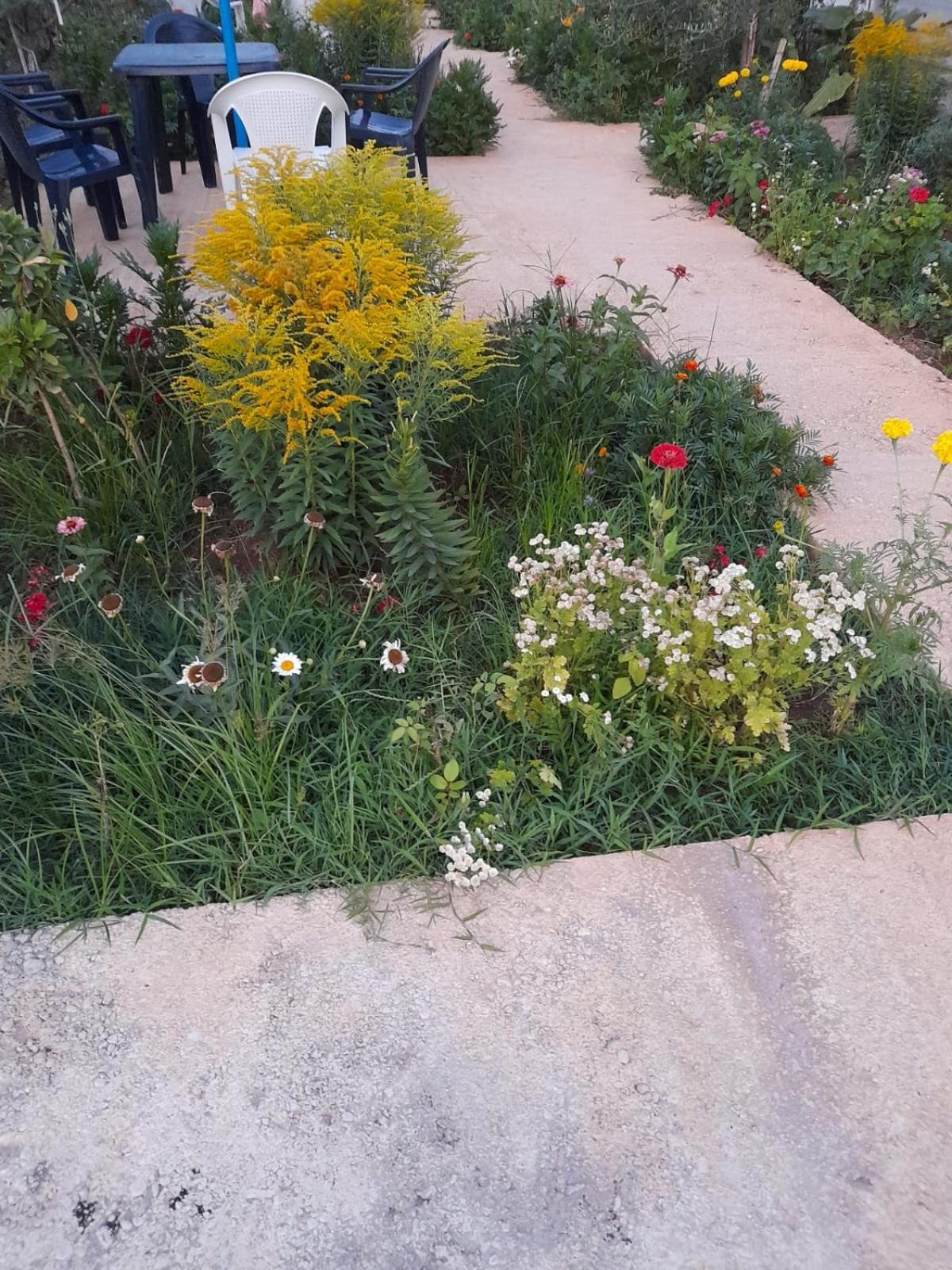 Rey Garden 2