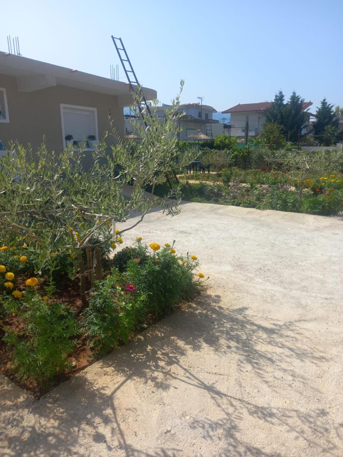 Rey Garden 2