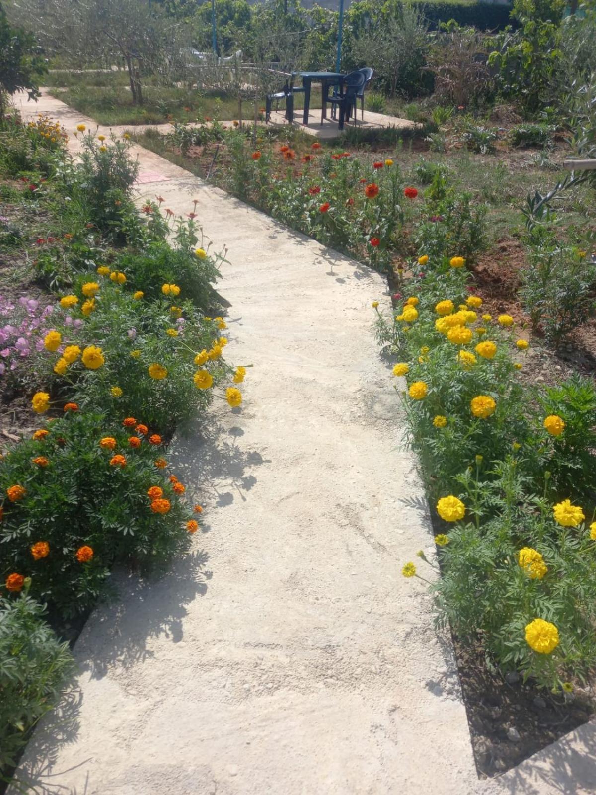 Rey Garden 2