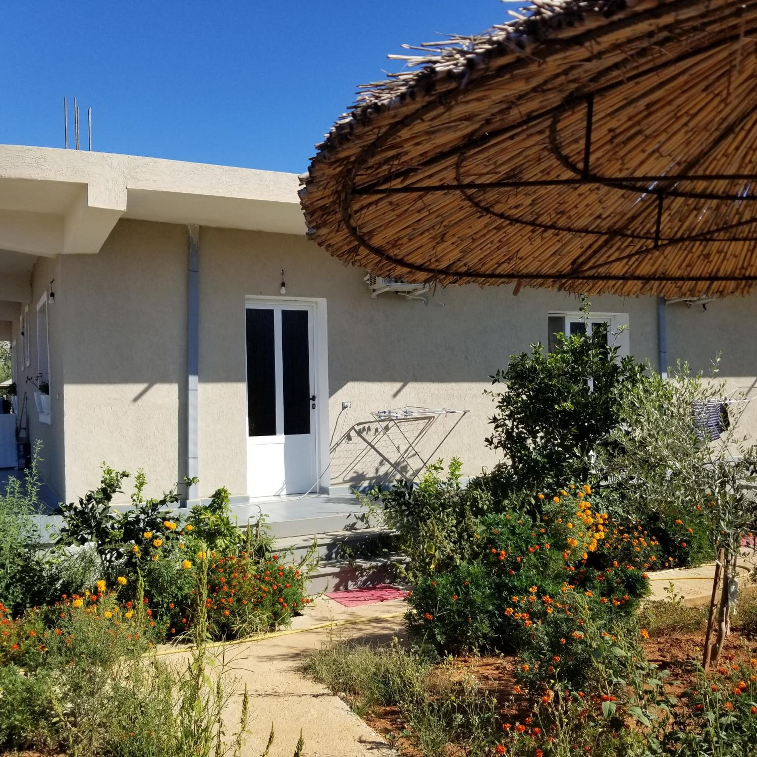 Rey Garden 2
