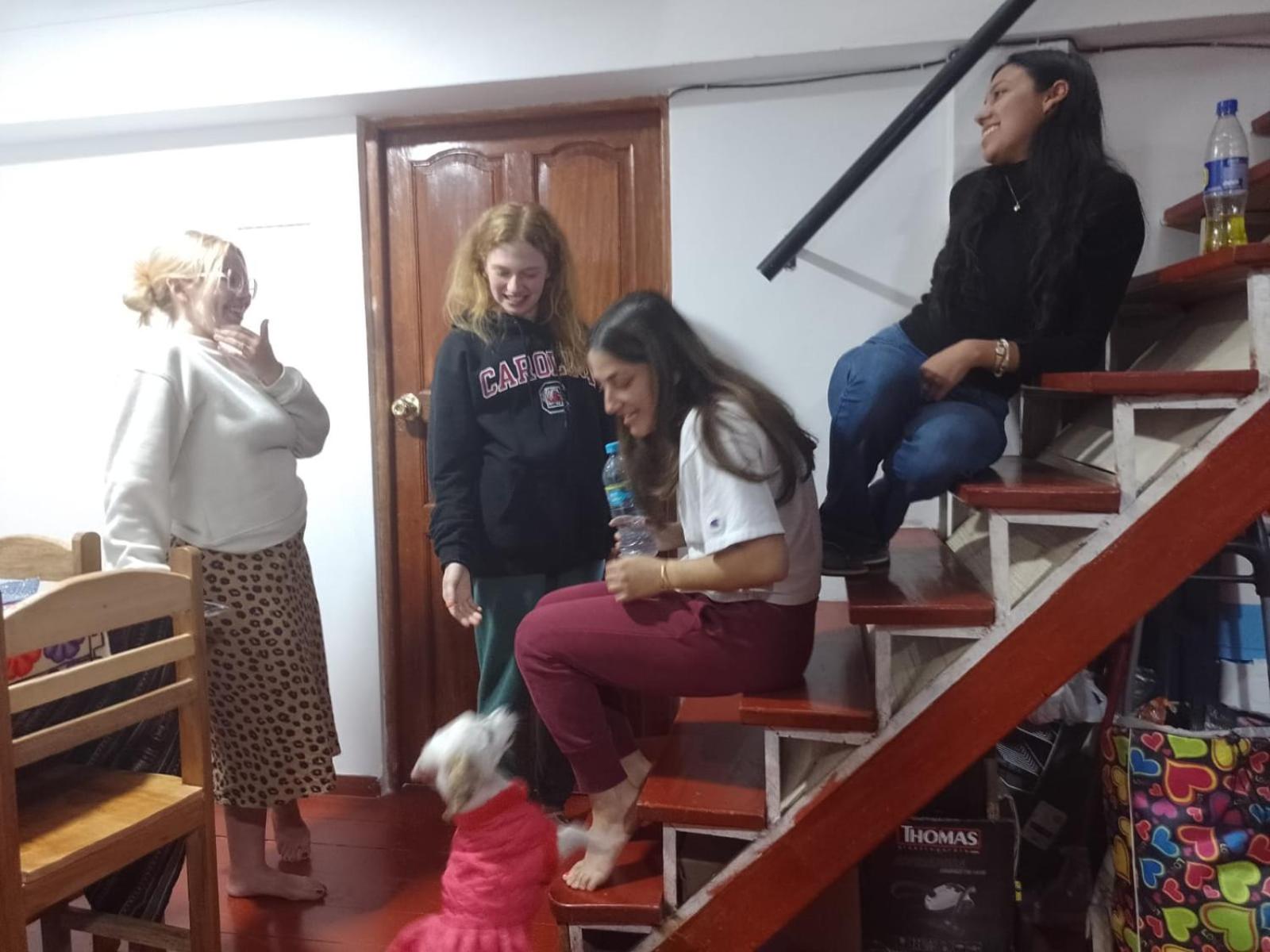 Photo 42