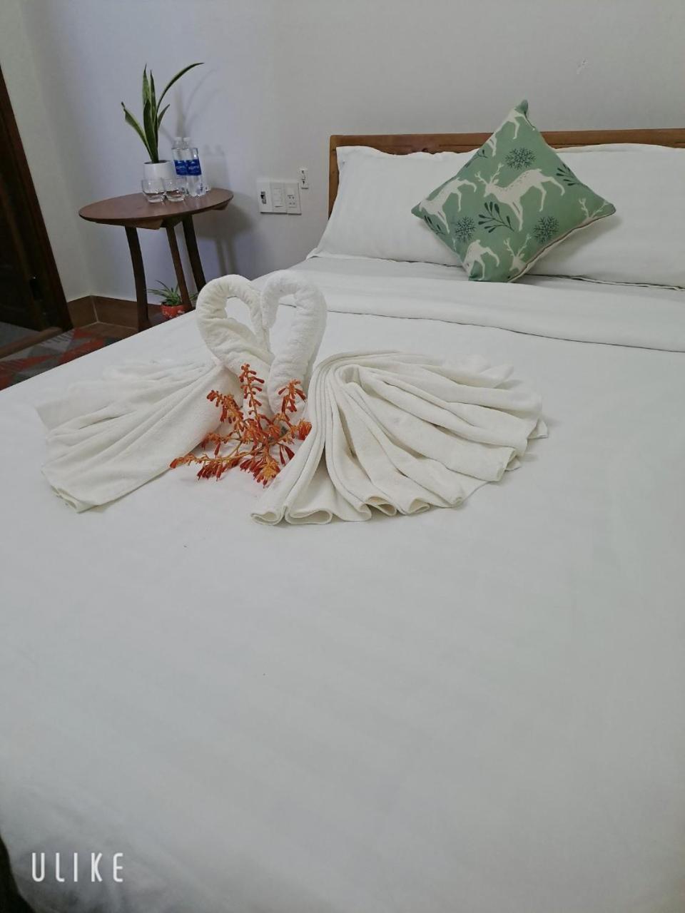 Photo 29