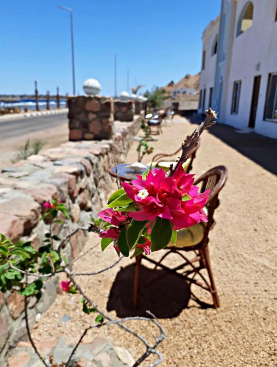 Locanda Dahab