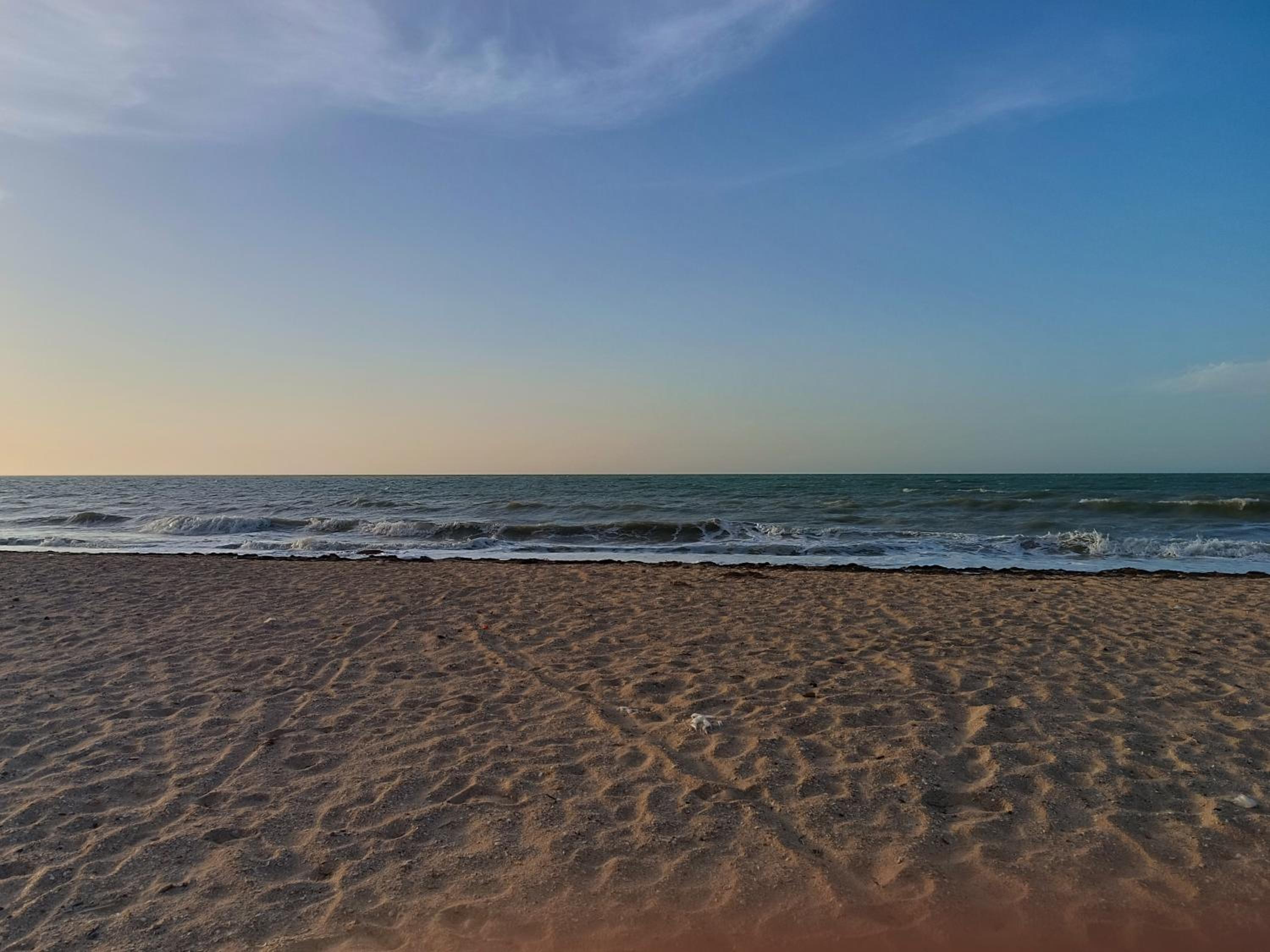 Del Mar Vendra