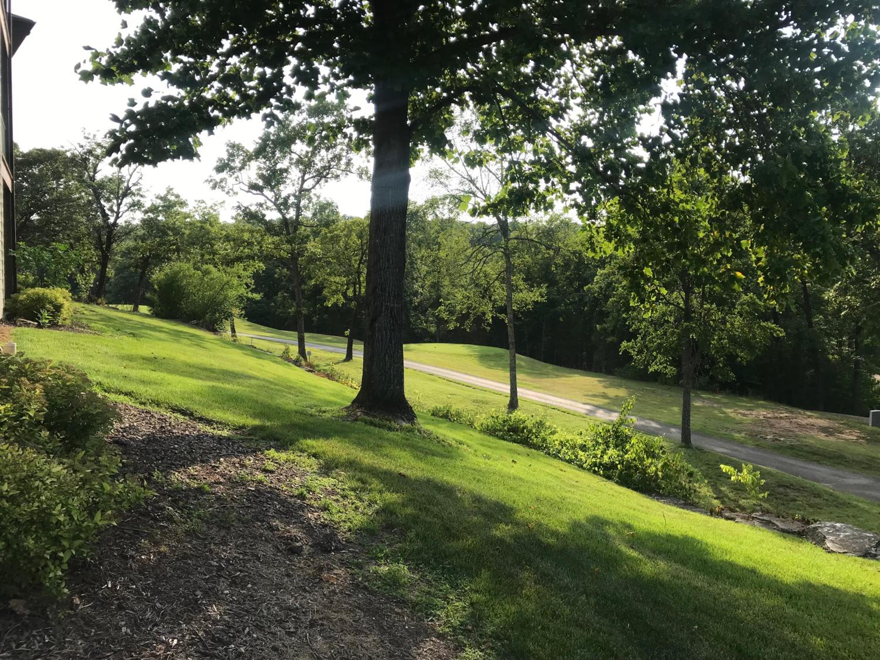 1031 Branson luxury retreat-Golf view-SilverDollar - Property Image 1
