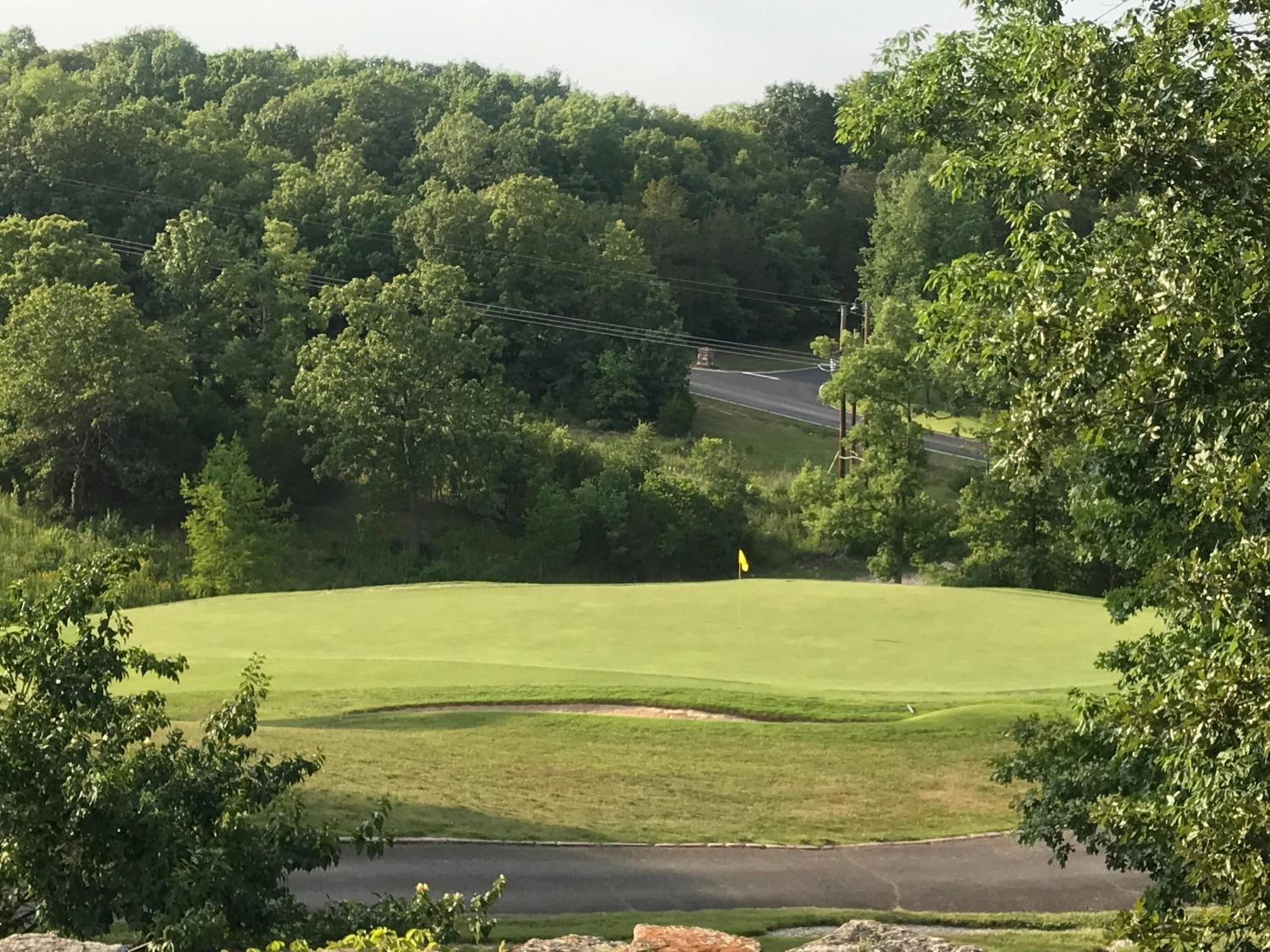 1031 Branson luxury retreat-Golf view-SilverDollar - Property Image 9