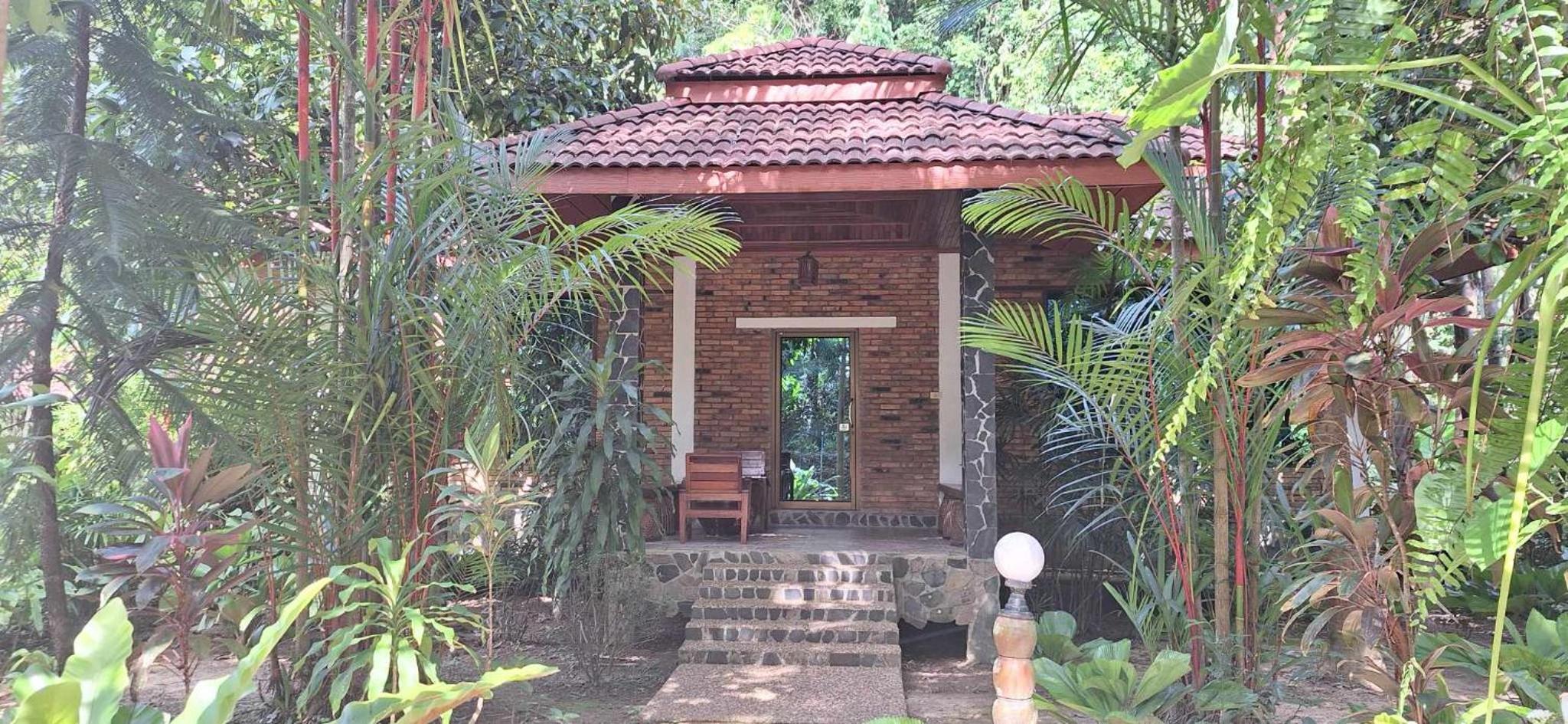 Photo 9