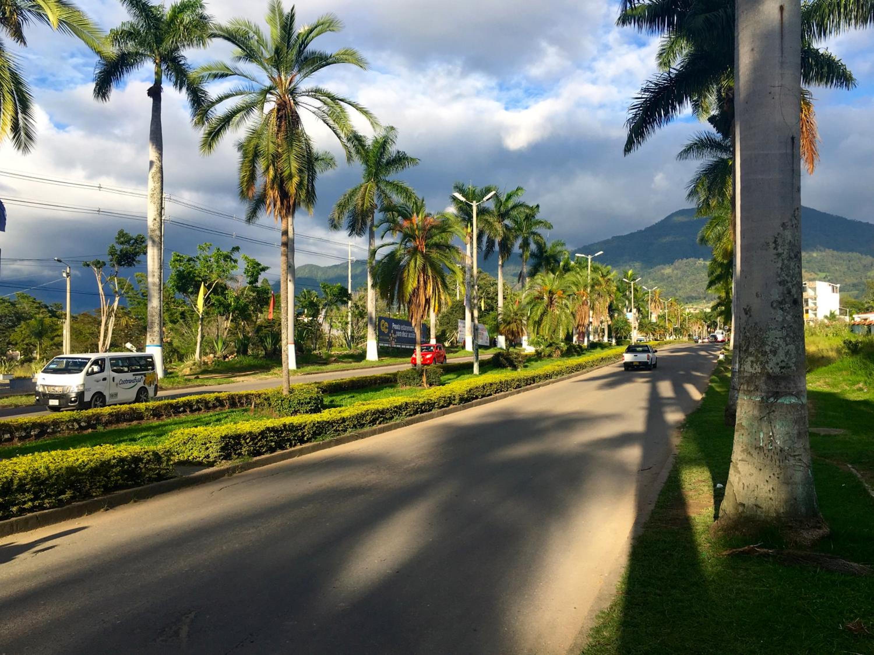 Tranquilo y Acogedor Apto en Fusagasugá.