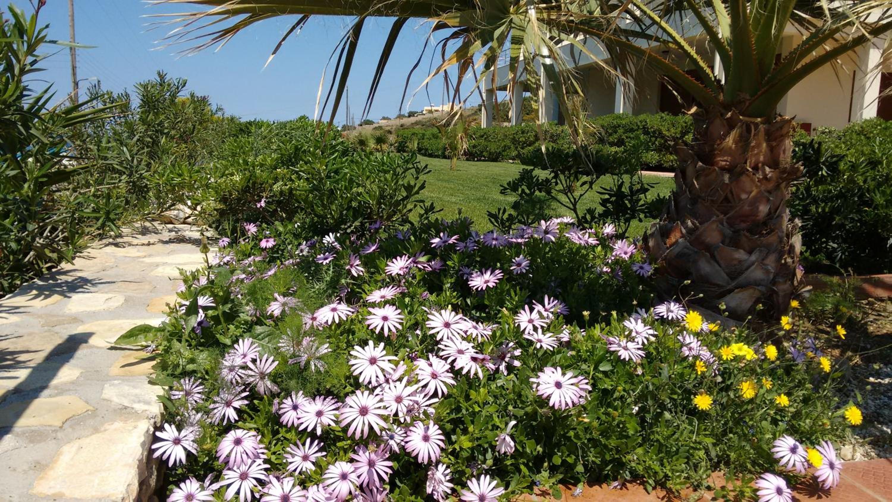 Tholos Bay Suites