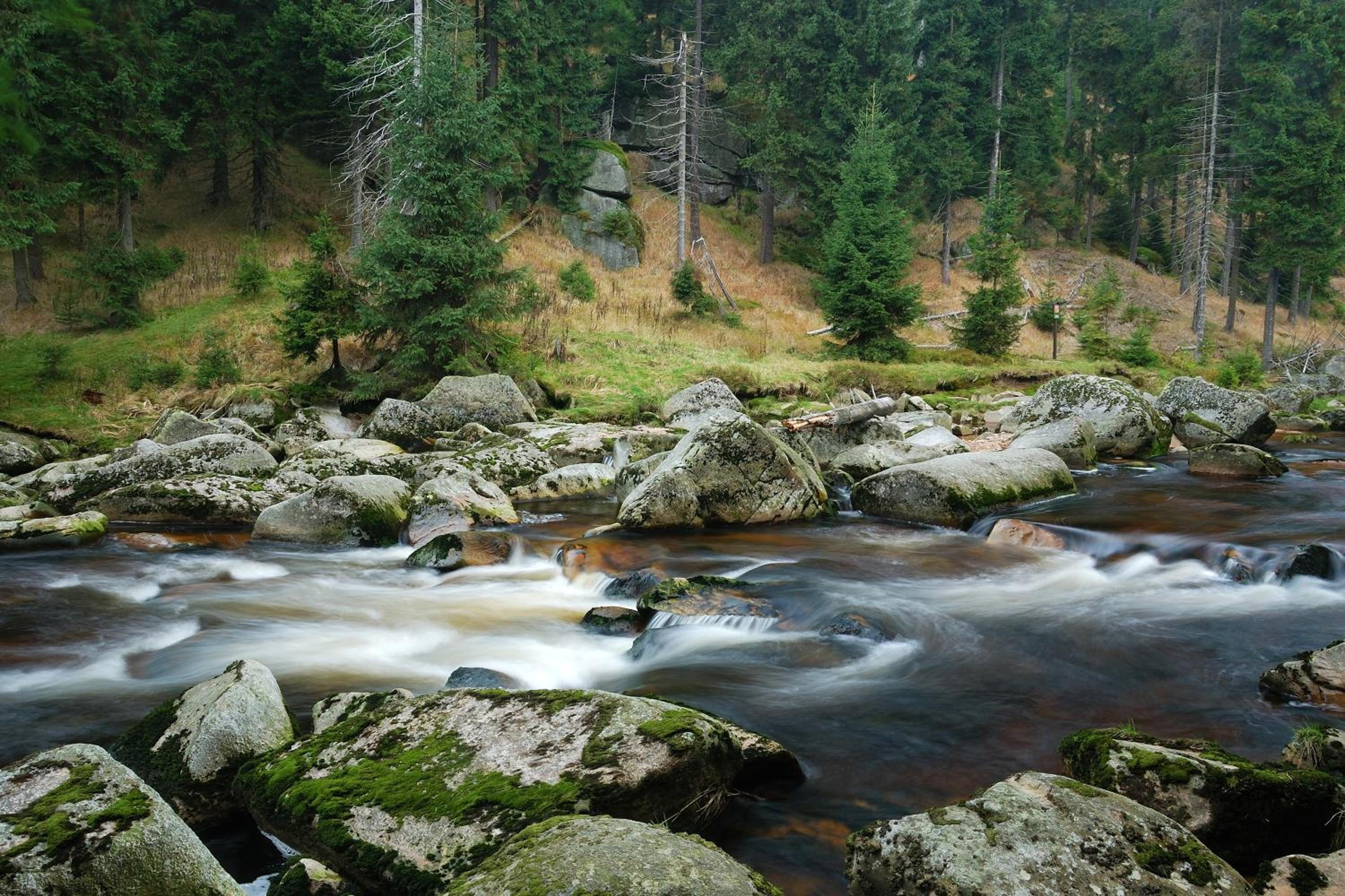 Penzion Zrzka