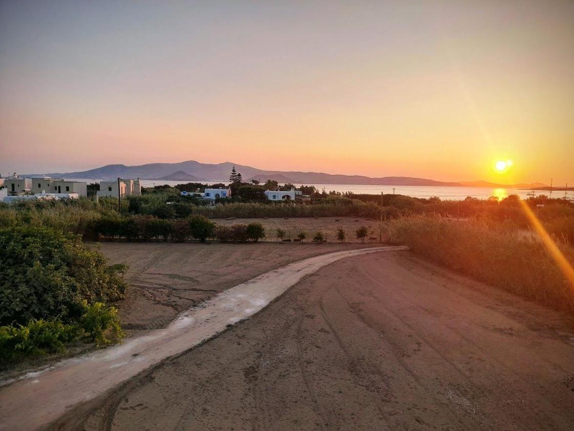Filoxenia Home-Seaside 2nd floor seaview Apt ,Dream on Naxos view 3
