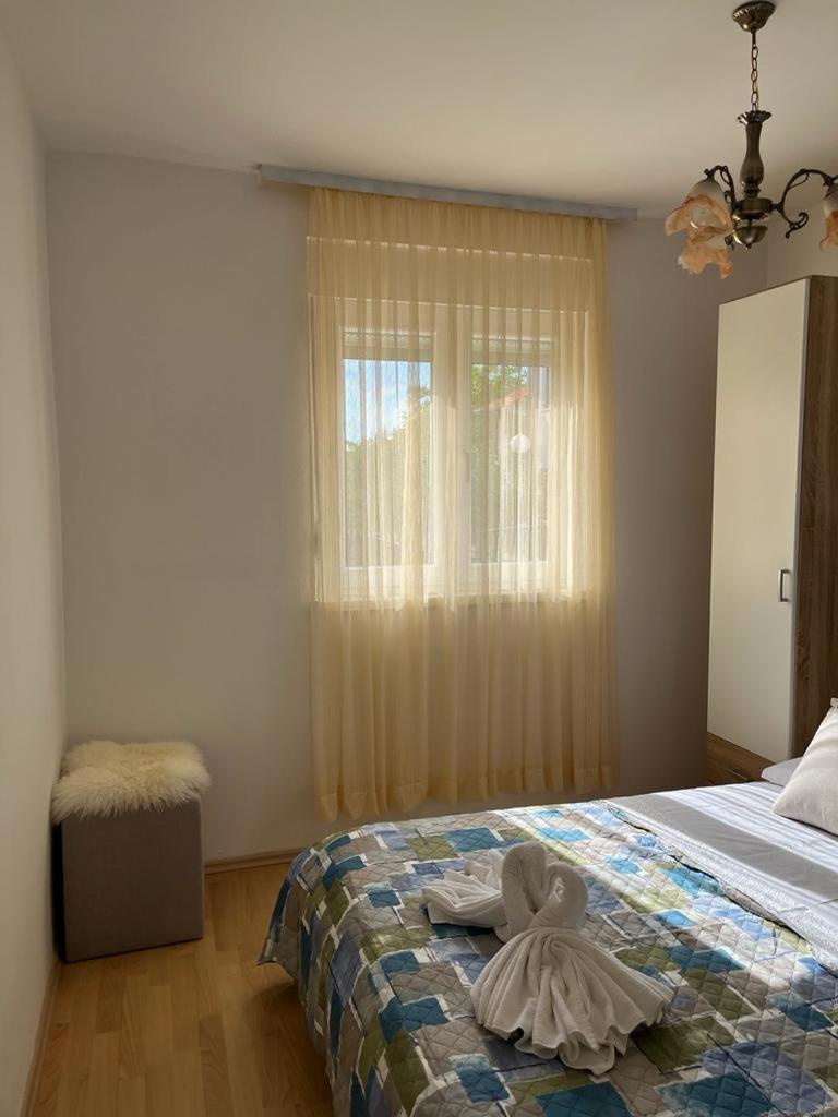 Apartment Zagi