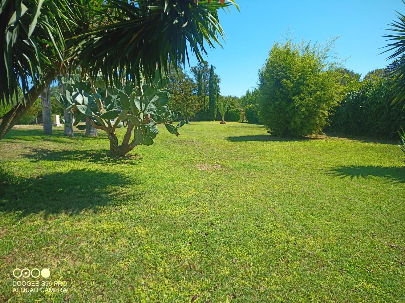 Photo 26
