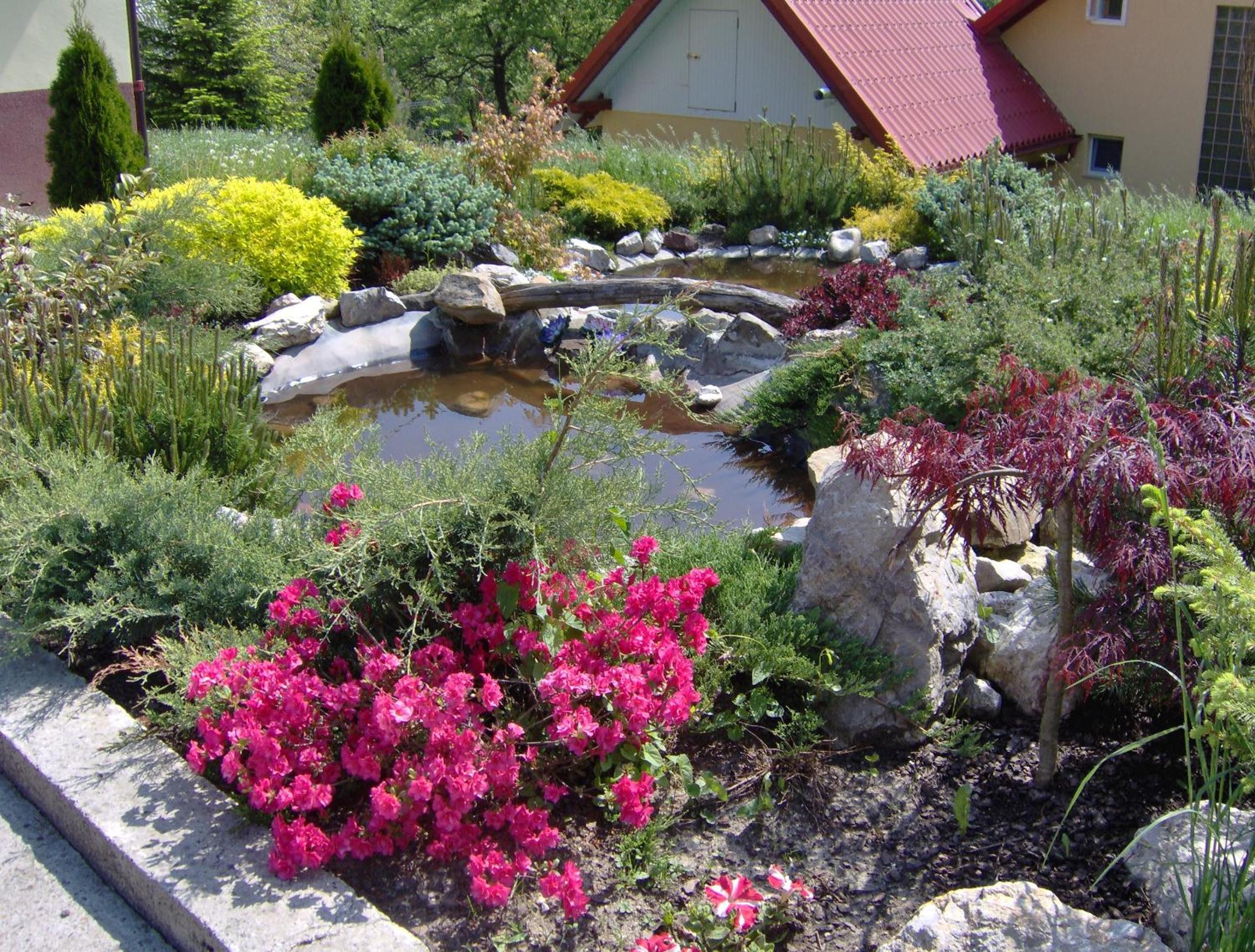 Photo 23