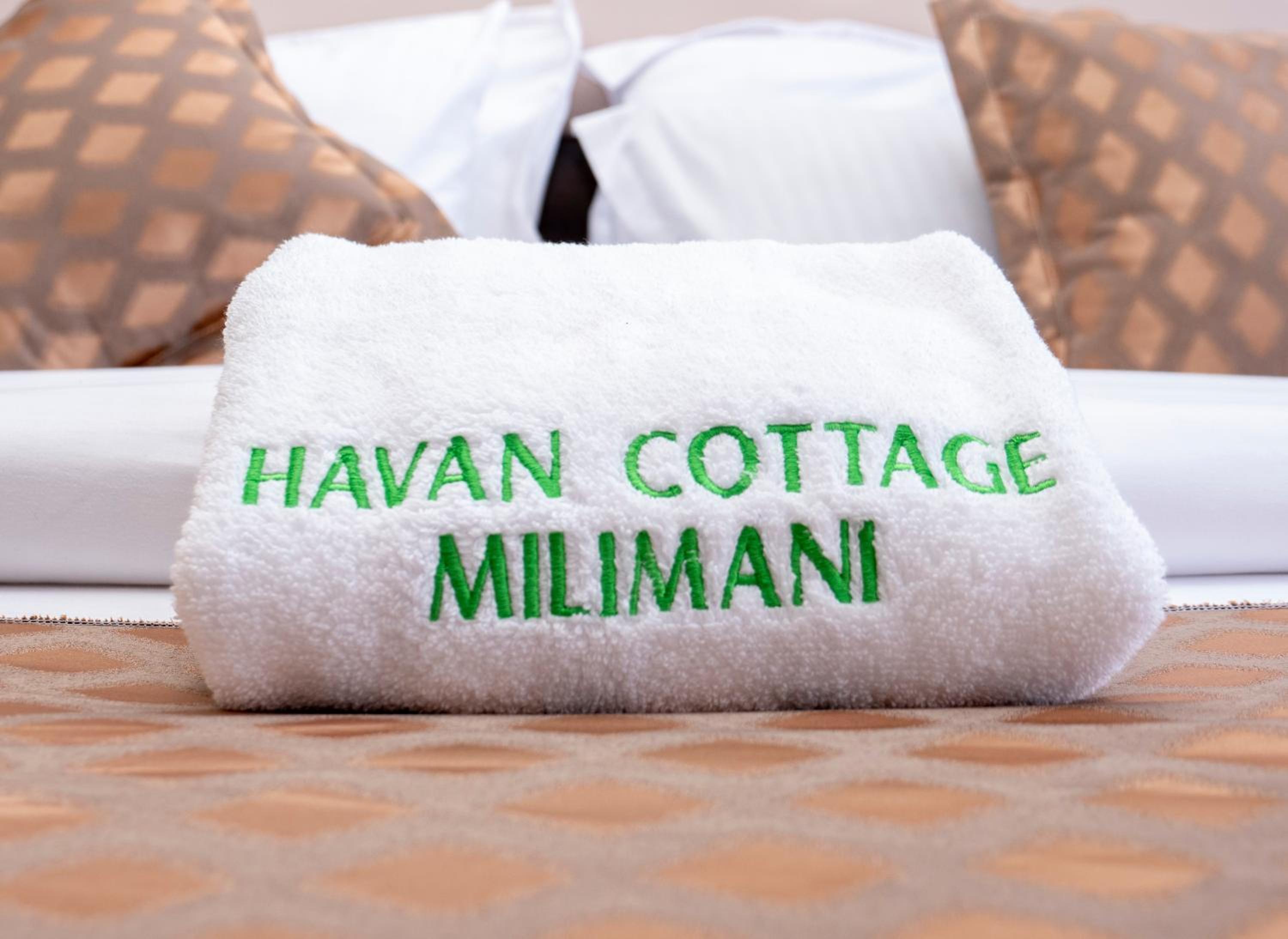 Havan Furnished Apartments- Hyrax Hill view 5