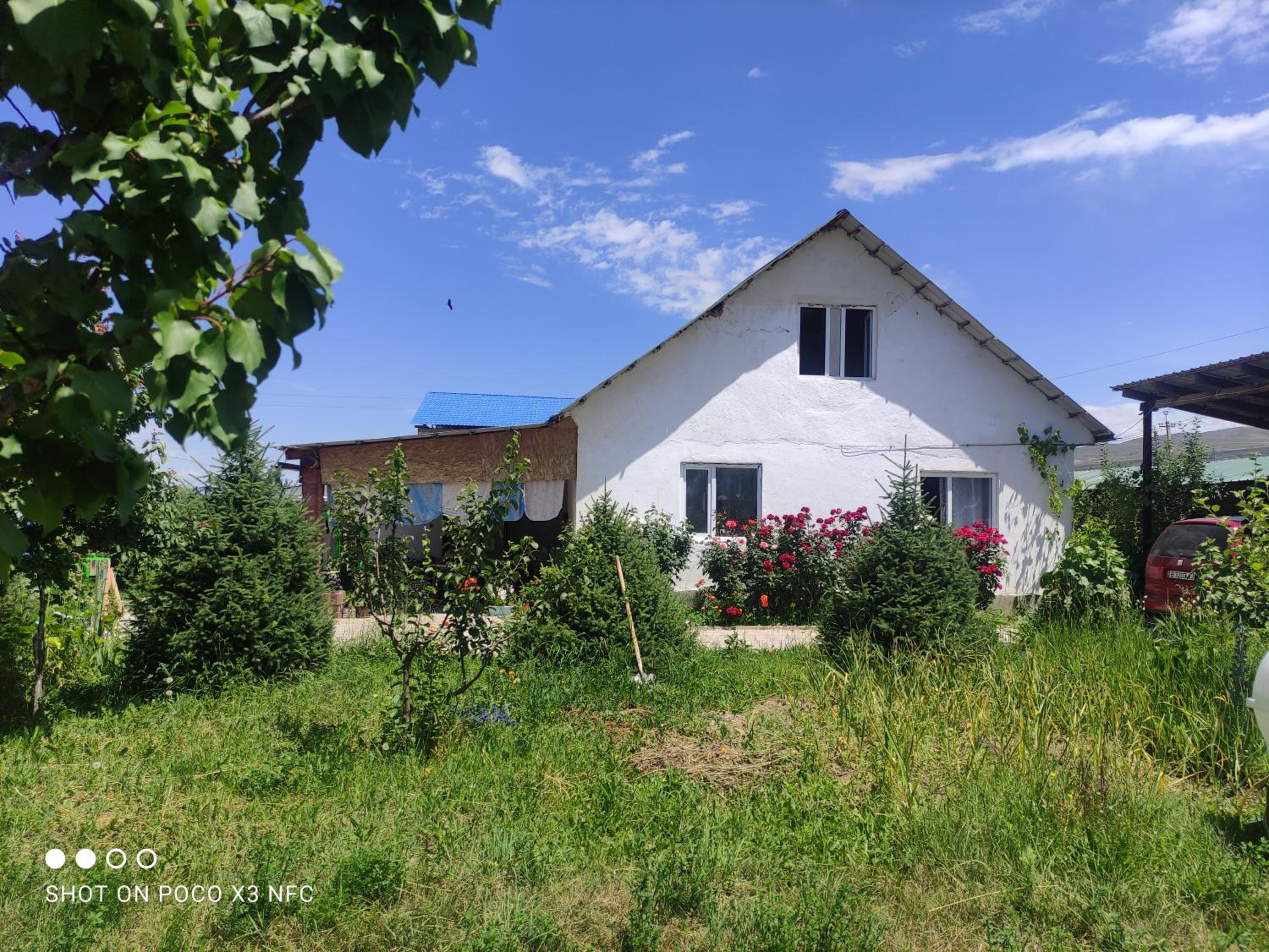 Guest House Doktor Eismann view 5