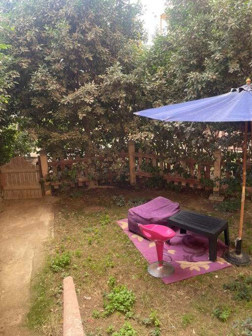 Cosy studio with a garden