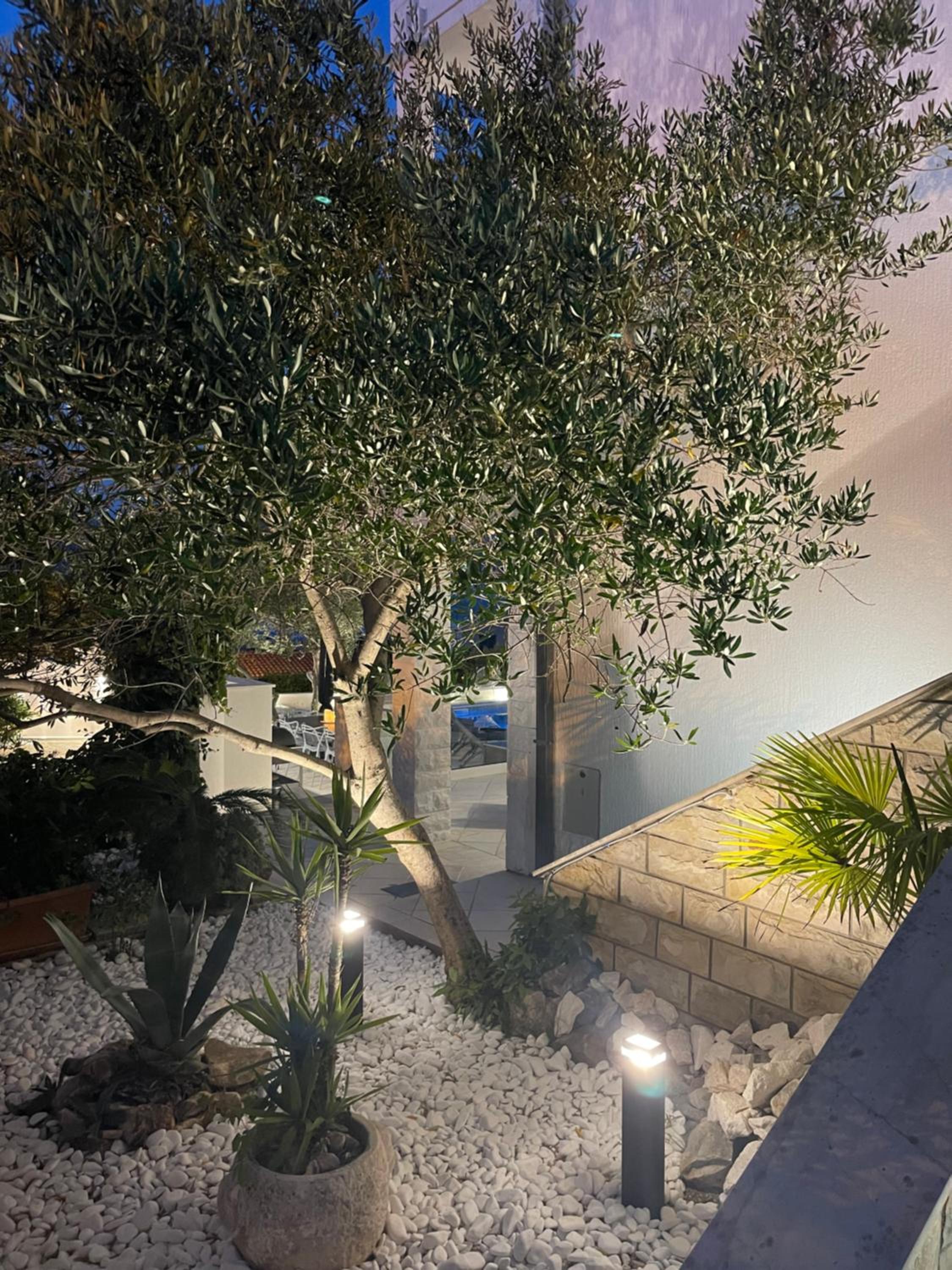 Apartments Marina