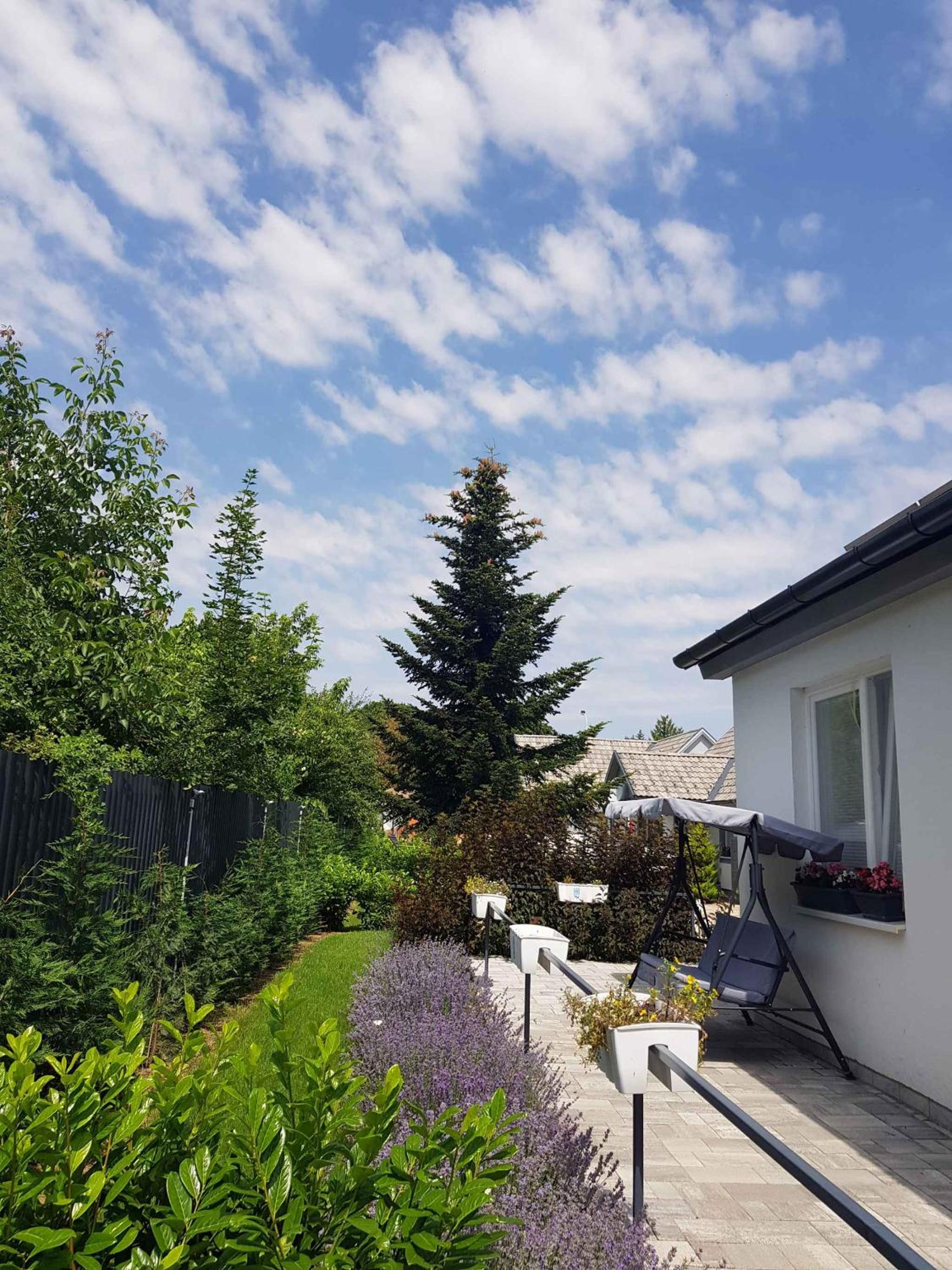 Apartments in Bük - Nordtransdanubien 44085 view 4