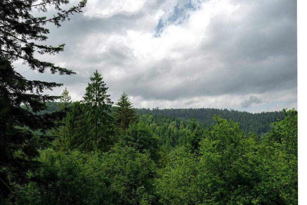 Chalet Kosorky