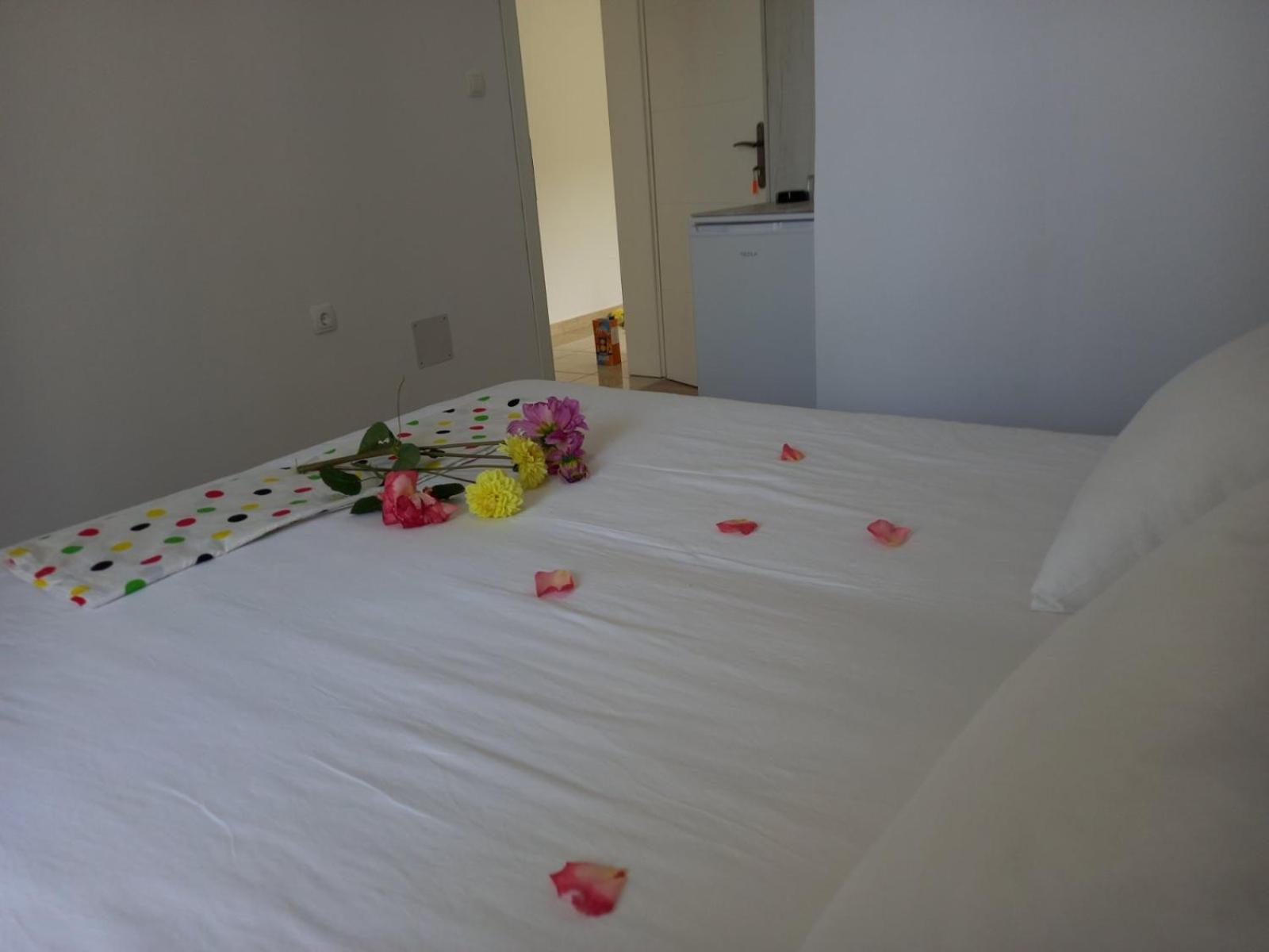 Apartments Verona