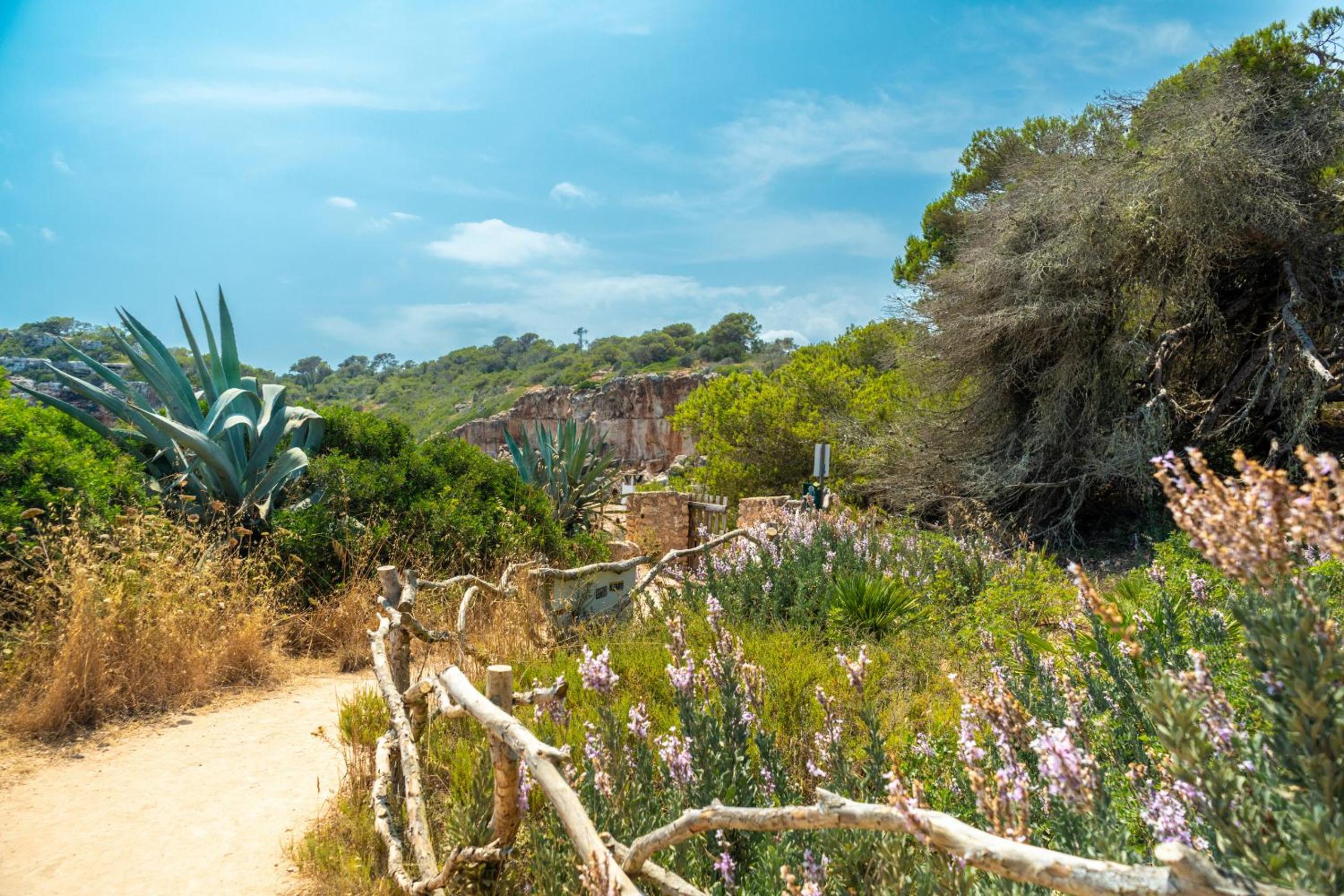 G398 Ses Savines by Mallorca Villa Selection