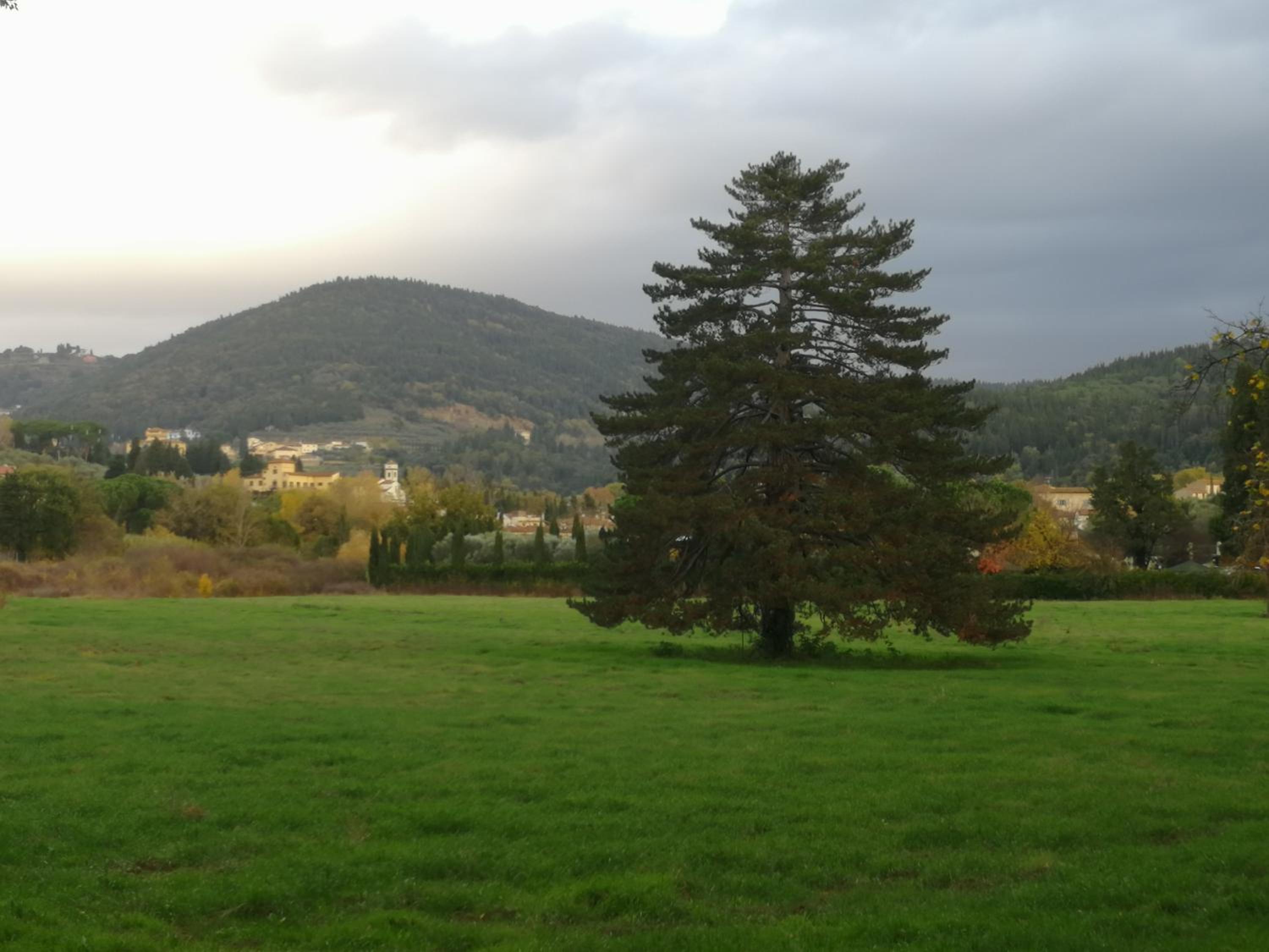 Open Space nel Parco con parcheggio gratuito