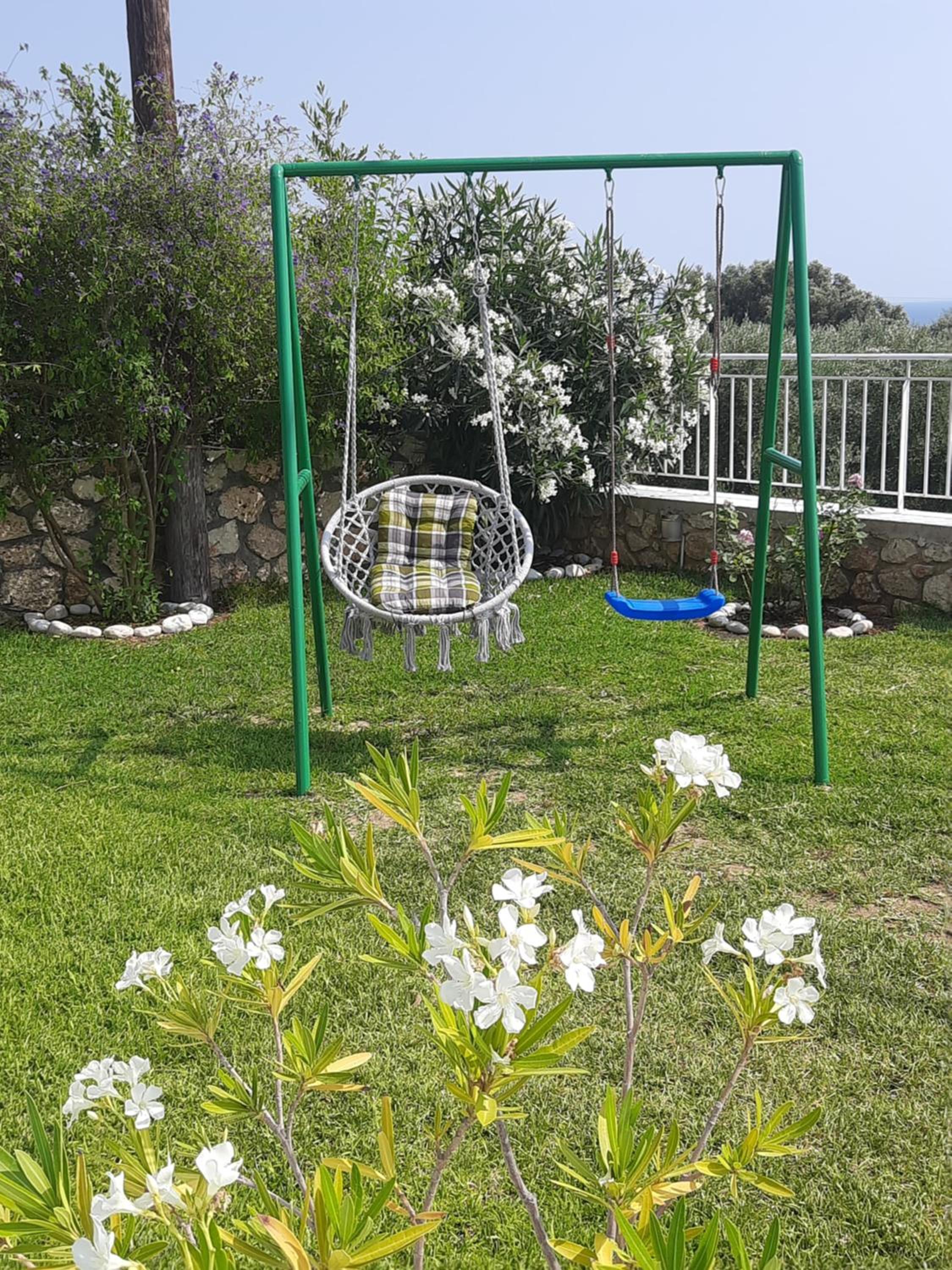 Photo 7