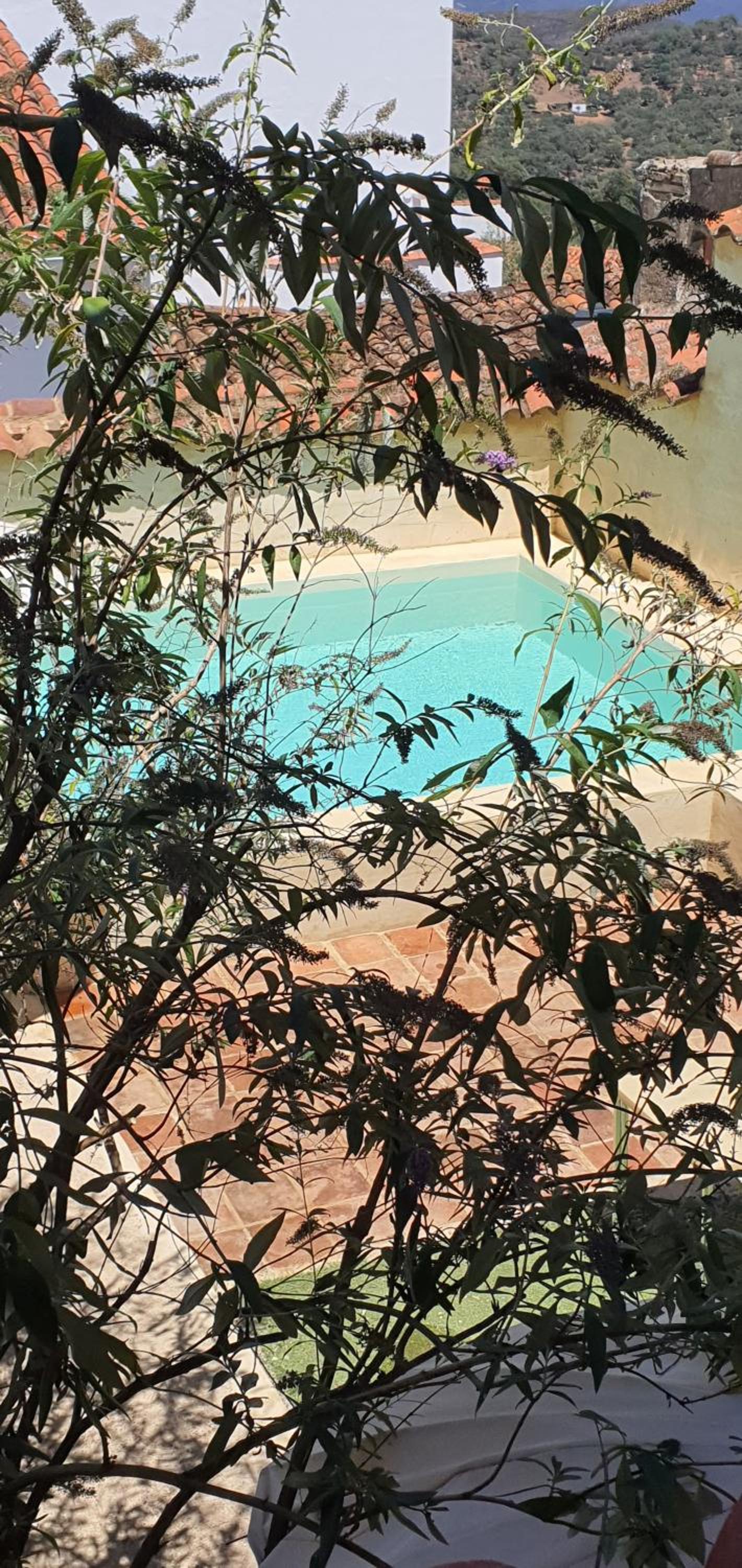 La Flamenca Inn - Property Image 23