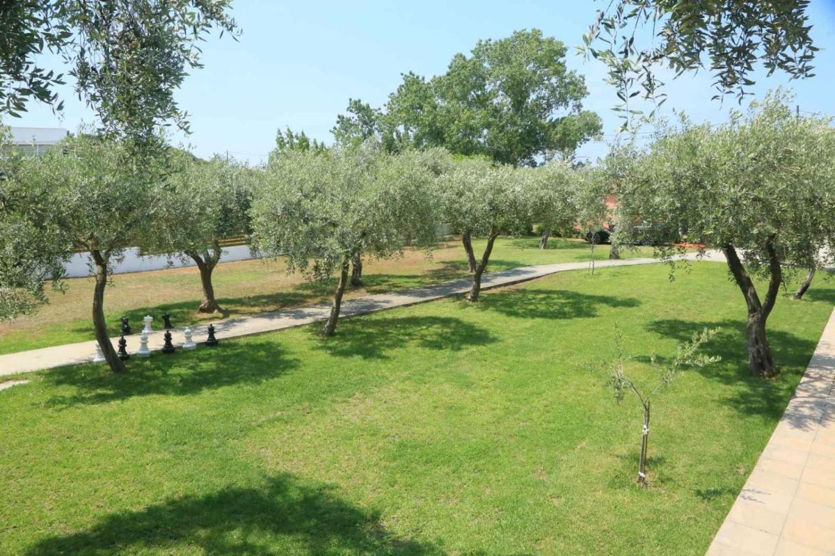 Photo 44