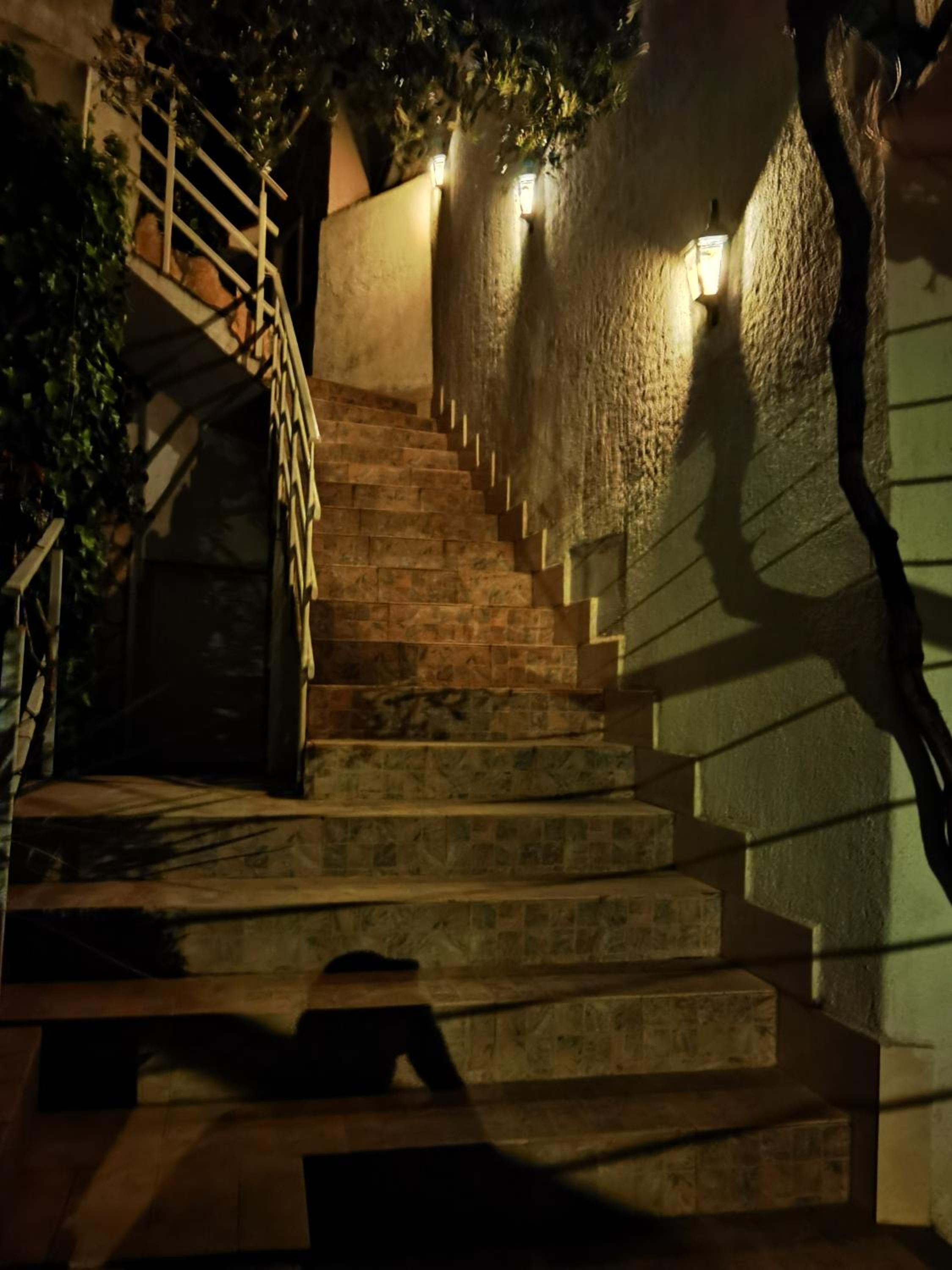 Apartmani Prgić