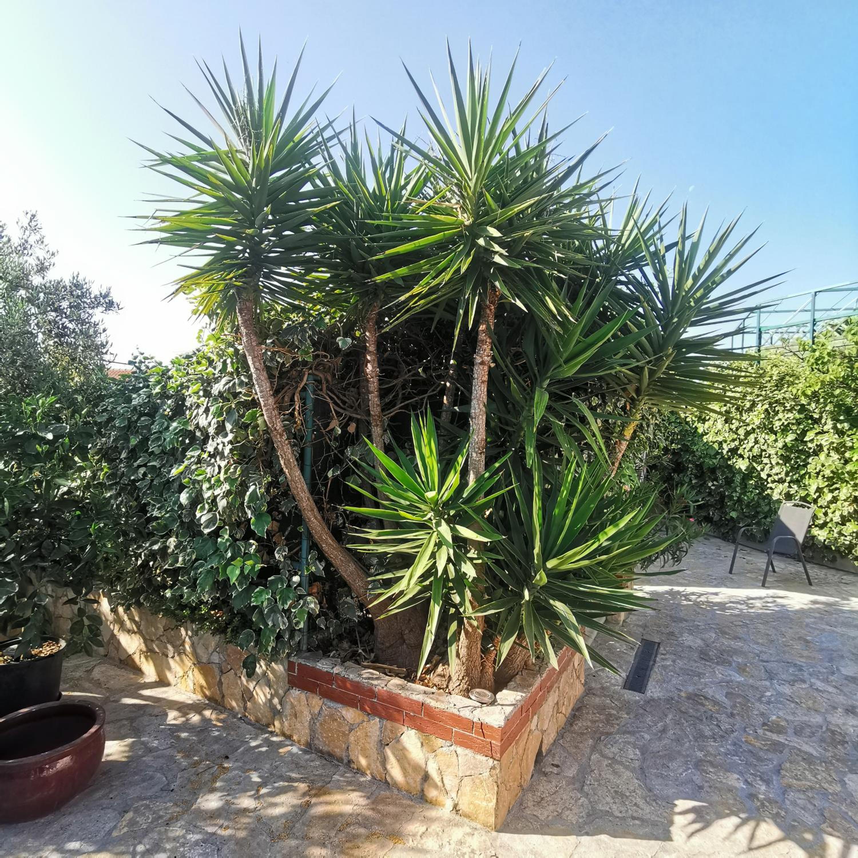 Apartmani Prgić
